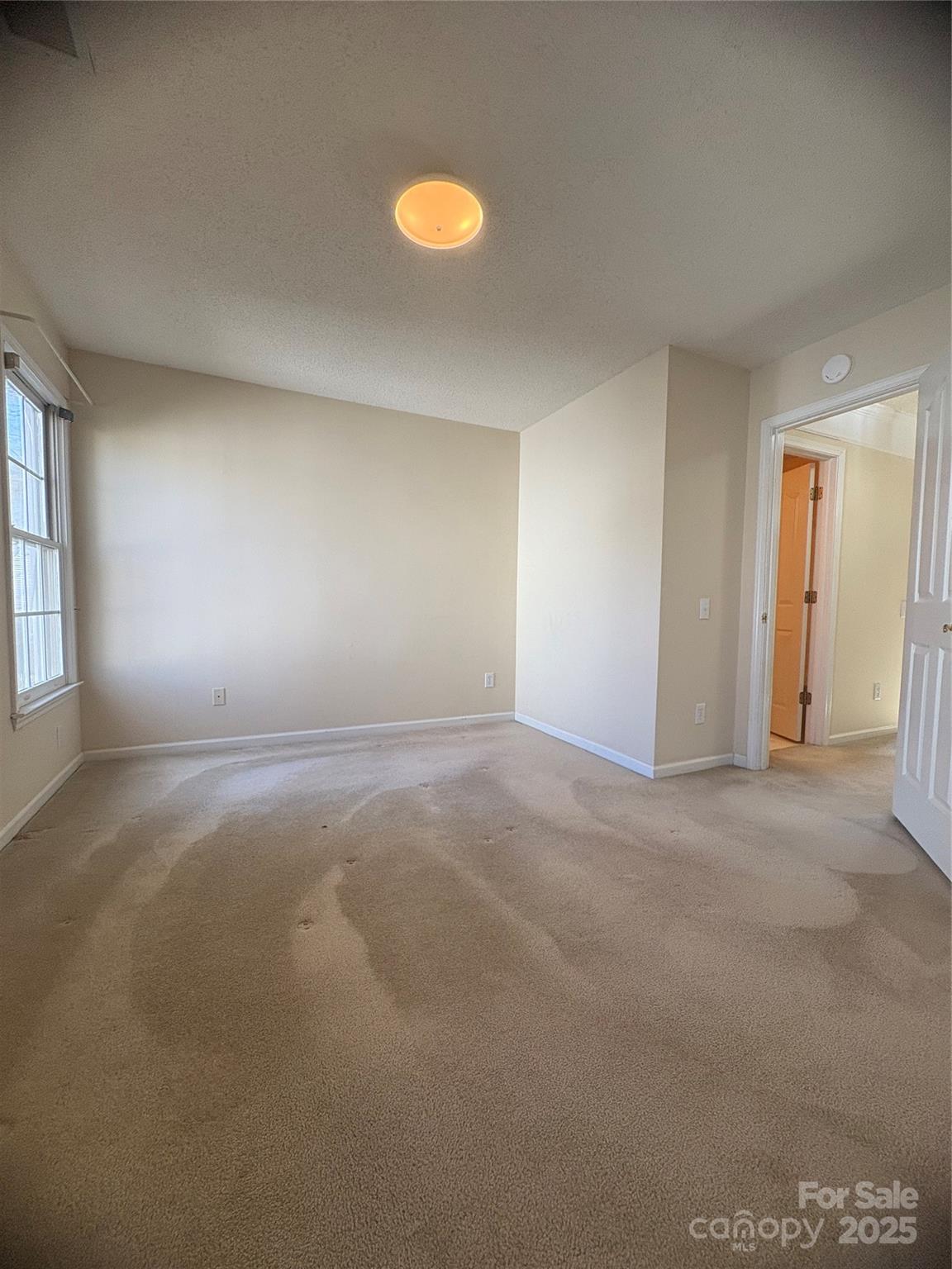 5828 Swanston Drive Property Photo 16