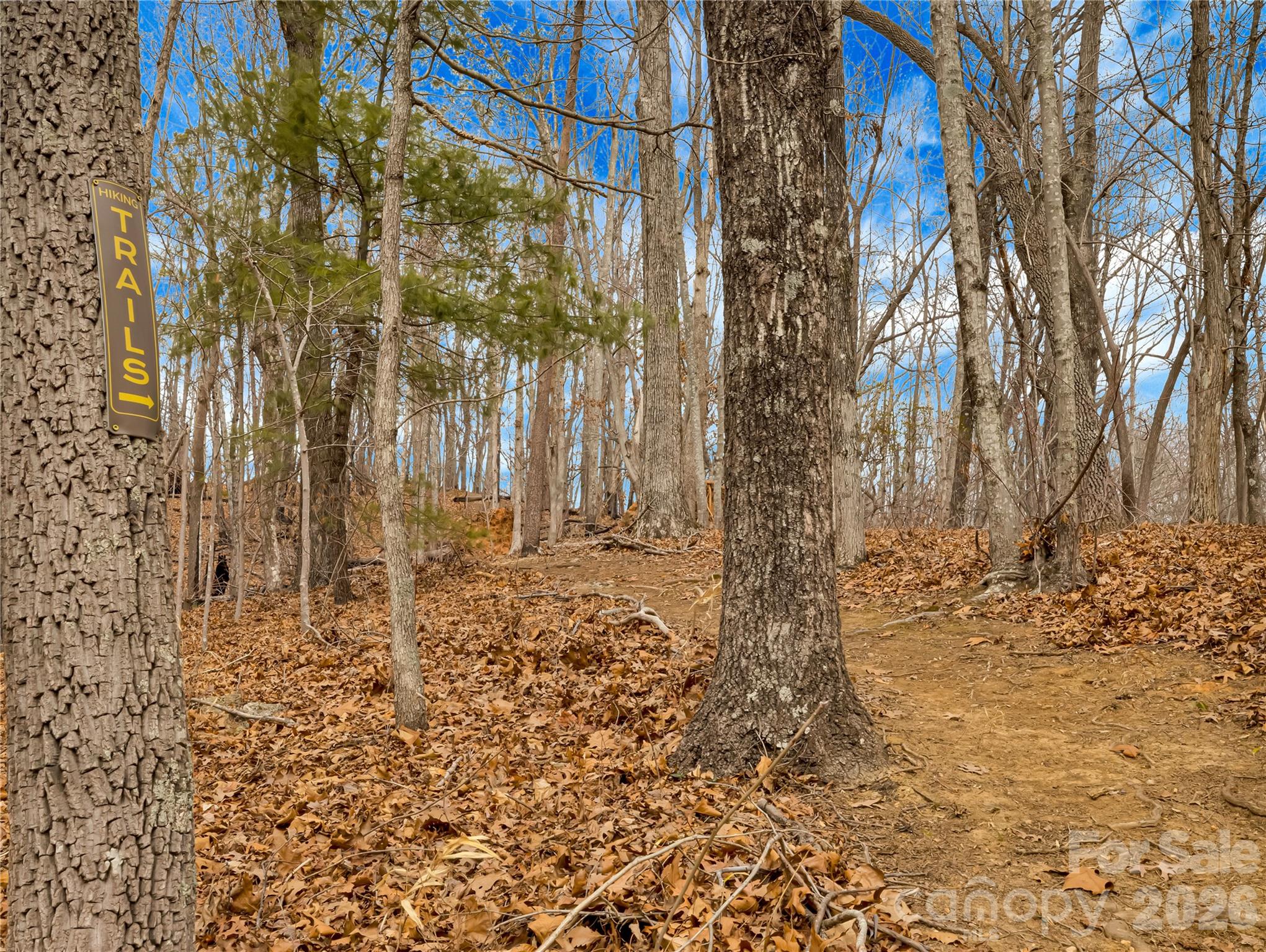 184 Deep Woods Lane Property Photo 42