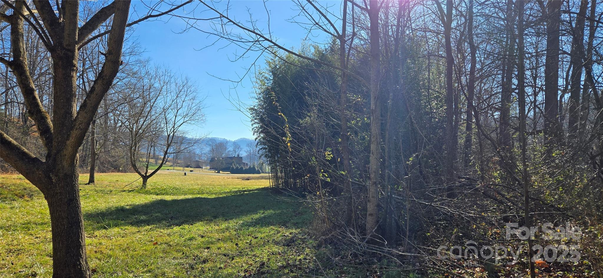 Lot 1 Turtle Rock Lane Property Photo 1