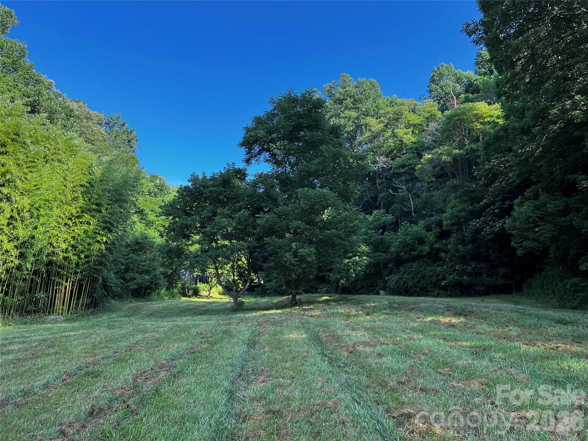 Lot 1 Turtle Rock Lane Property Photo 3