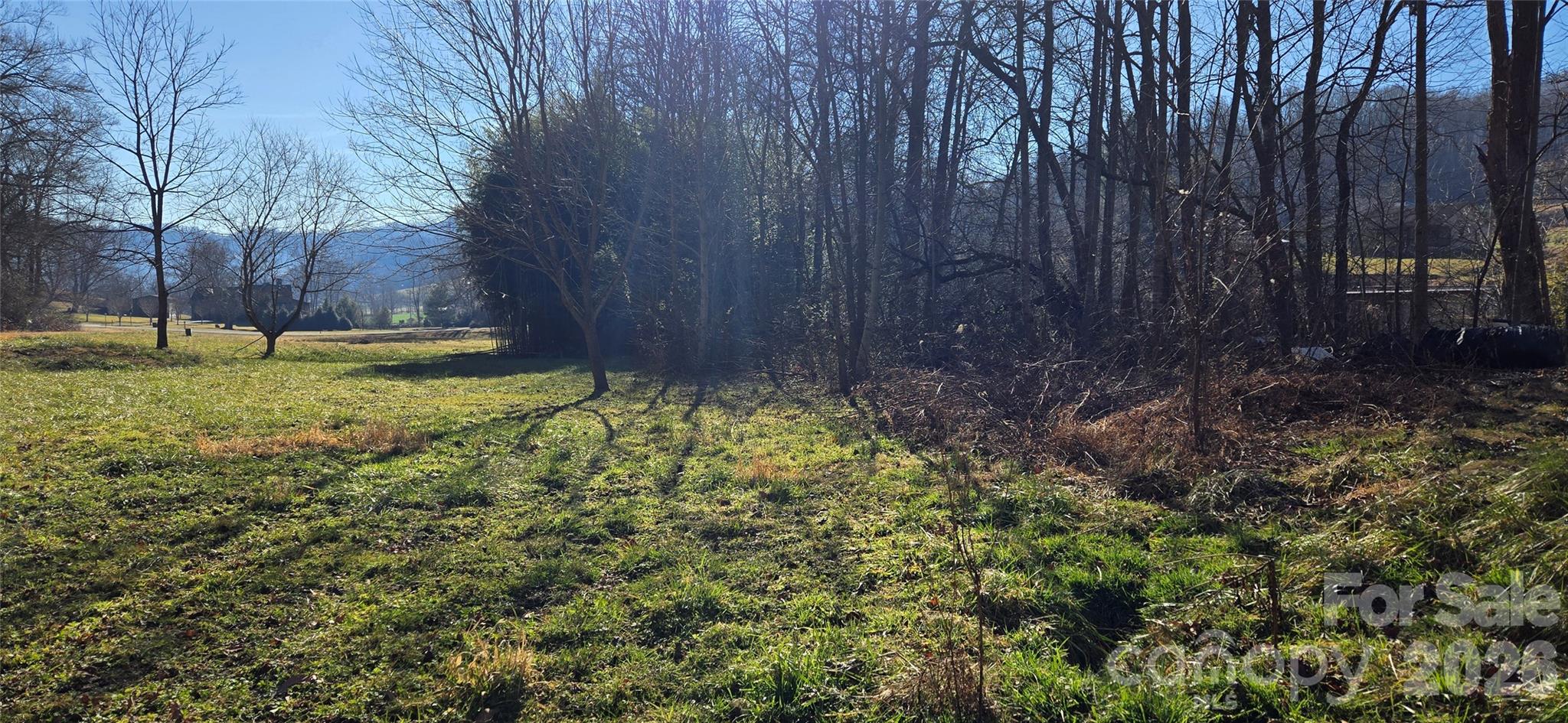 Lot 1 Turtle Rock Lane Property Photo 6