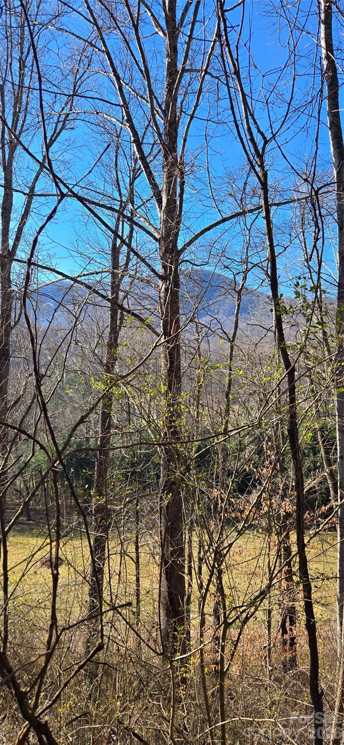 Lot 1 Turtle Rock Lane Property Photo 11