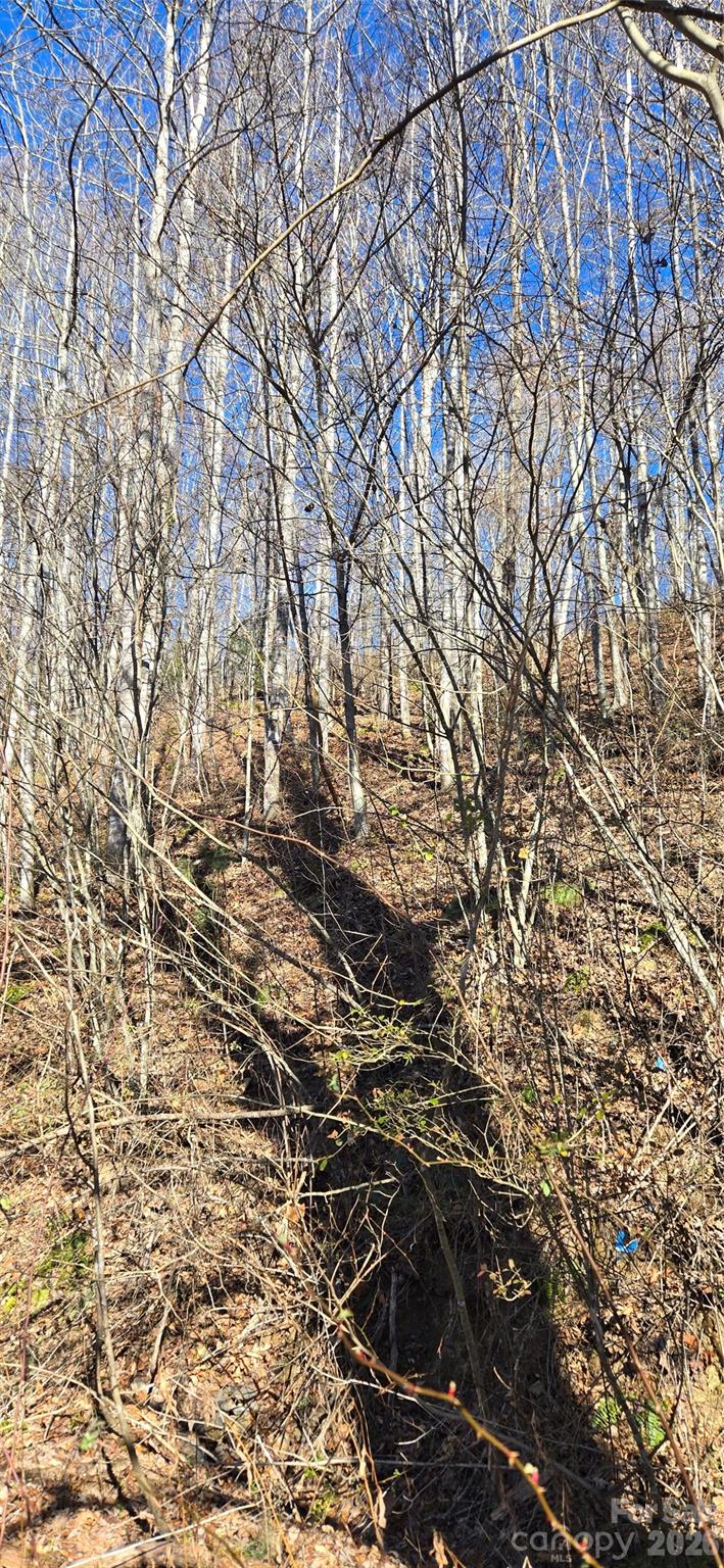 Lot 1 Turtle Rock Lane Property Photo 12