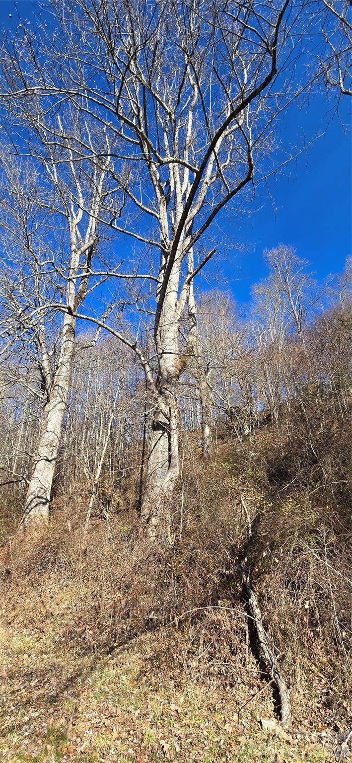 Lot 1 Turtle Rock Lane Property Photo 14