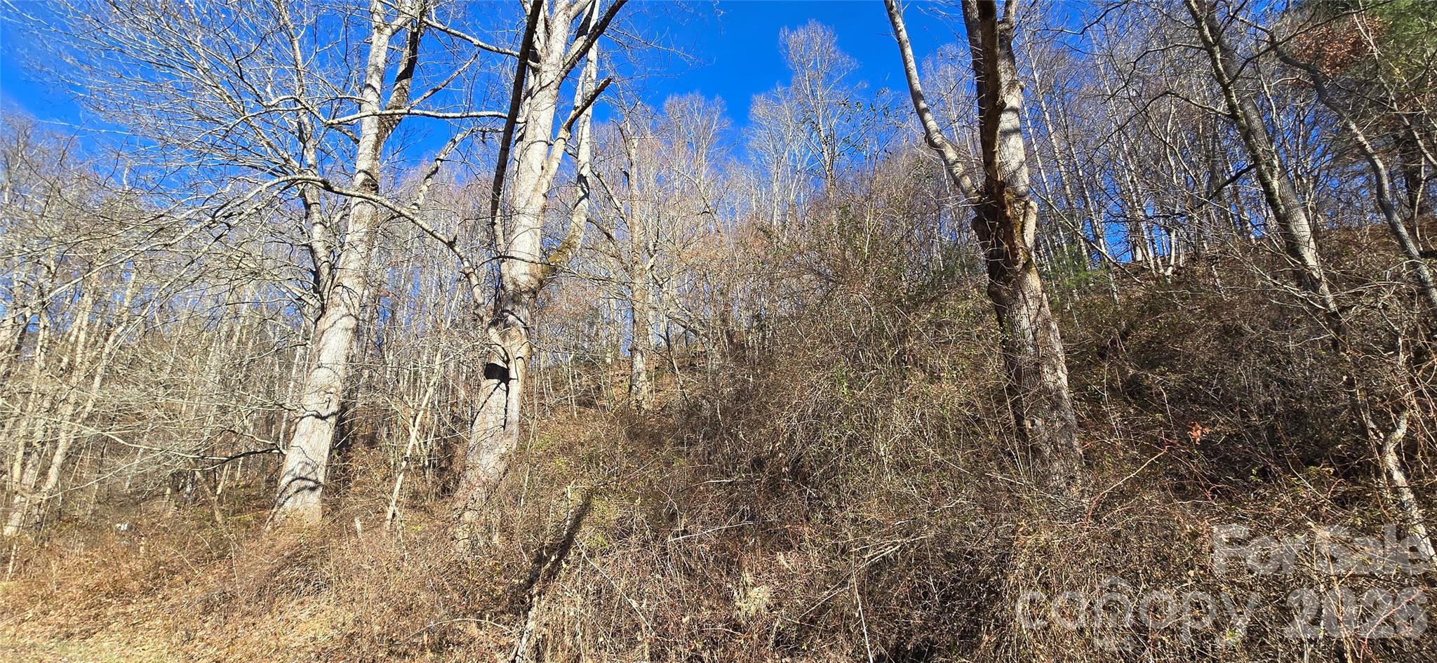 Lot 1 Turtle Rock Lane Property Photo 15