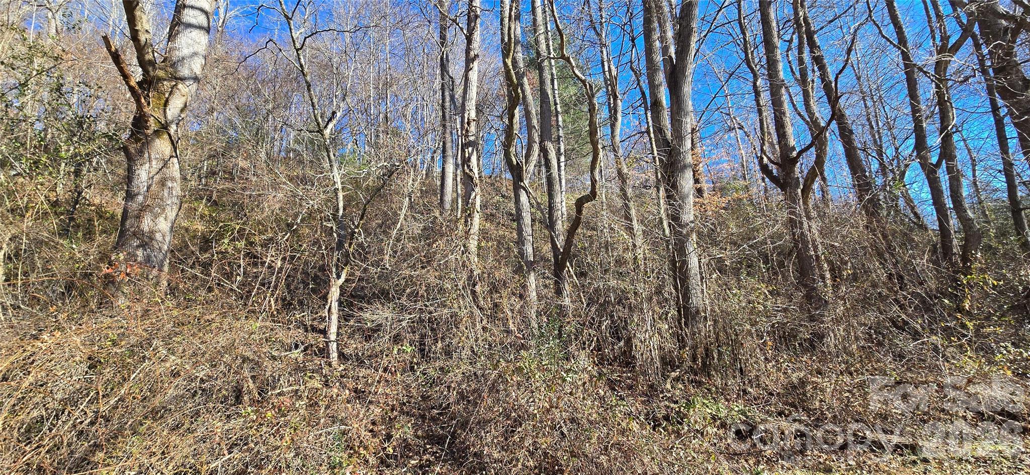 Lot 1 Turtle Rock Lane Property Photo 16