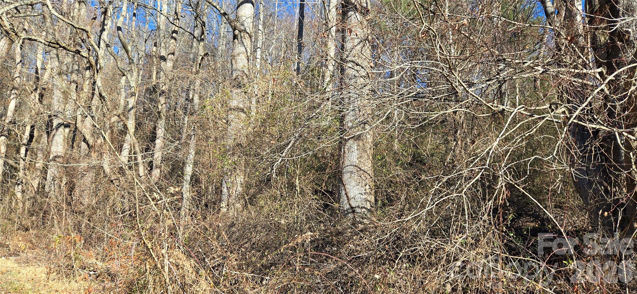 Lot 1 Turtle Rock Lane Property Photo 17