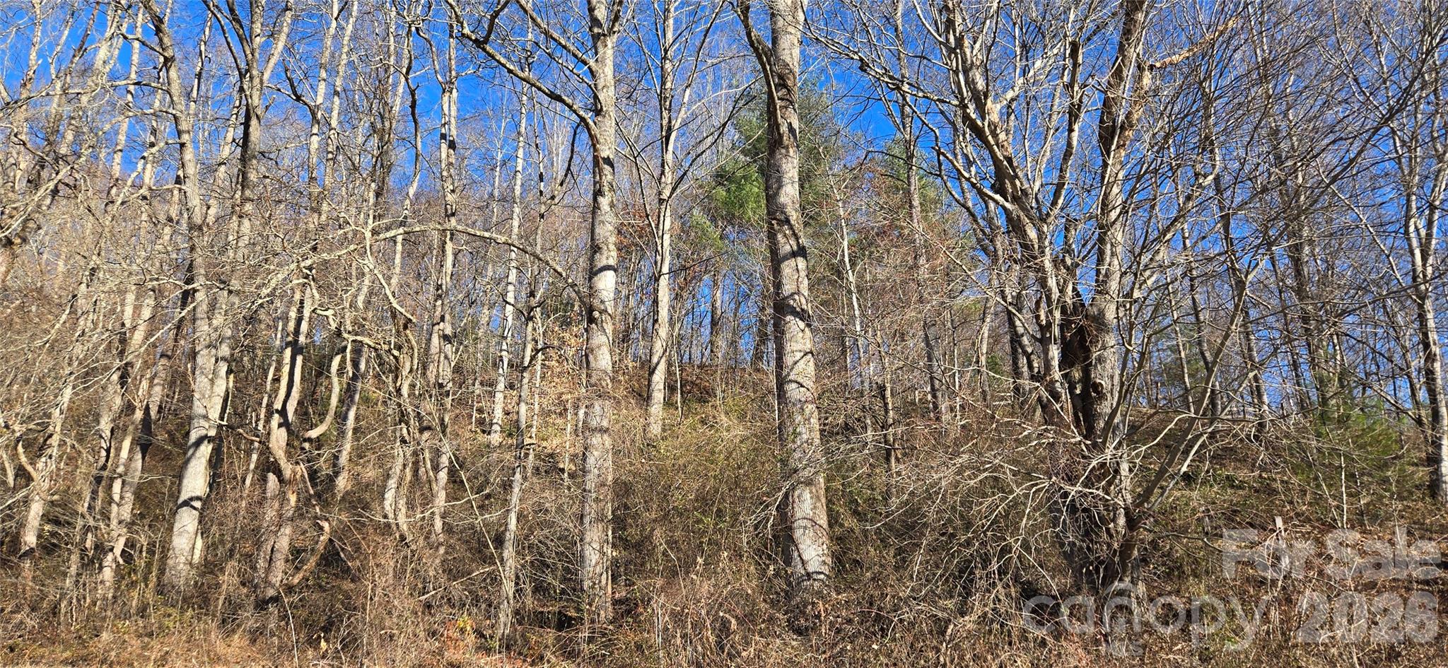 Lot 1 Turtle Rock Lane Property Photo 18
