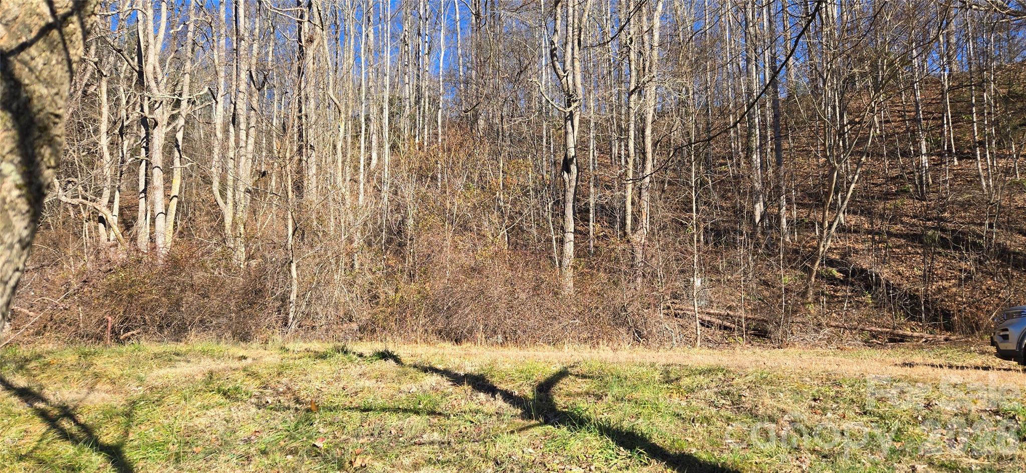Lot 1 Turtle Rock Lane Property Photo 19