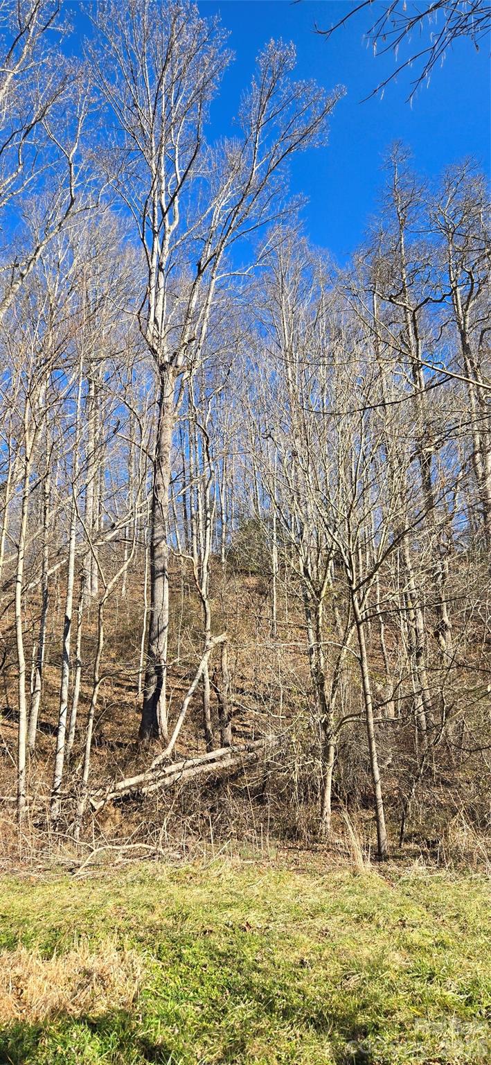 Lot 1 Turtle Rock Lane Property Photo 20