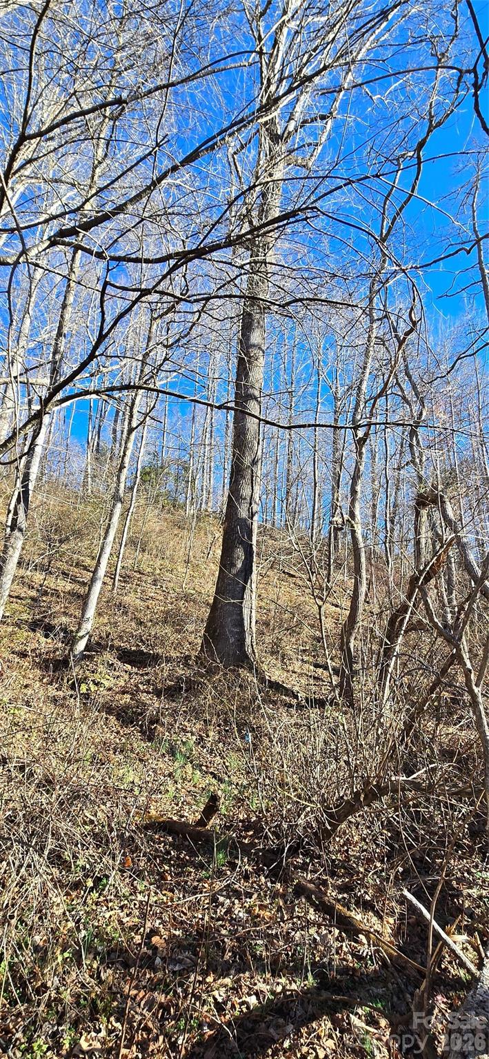 Lot 1 Turtle Rock Lane Property Photo 21