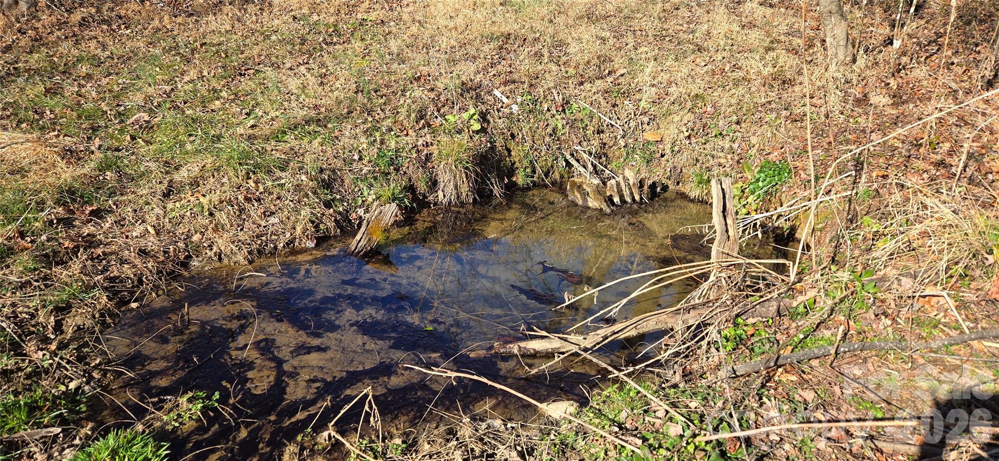 Lot 1 Turtle Rock Lane Property Photo 23