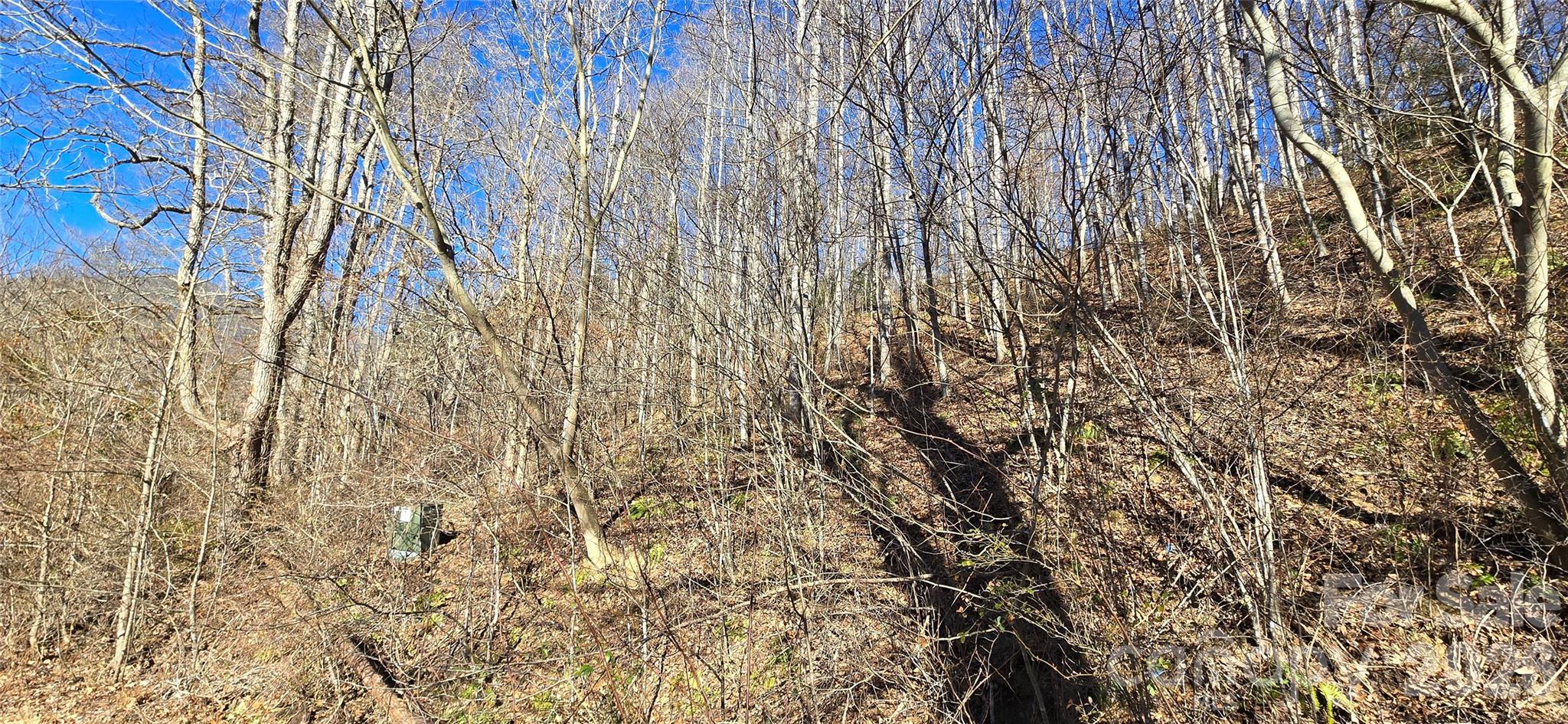 Lot 1 Turtle Rock Lane Property Photo 27