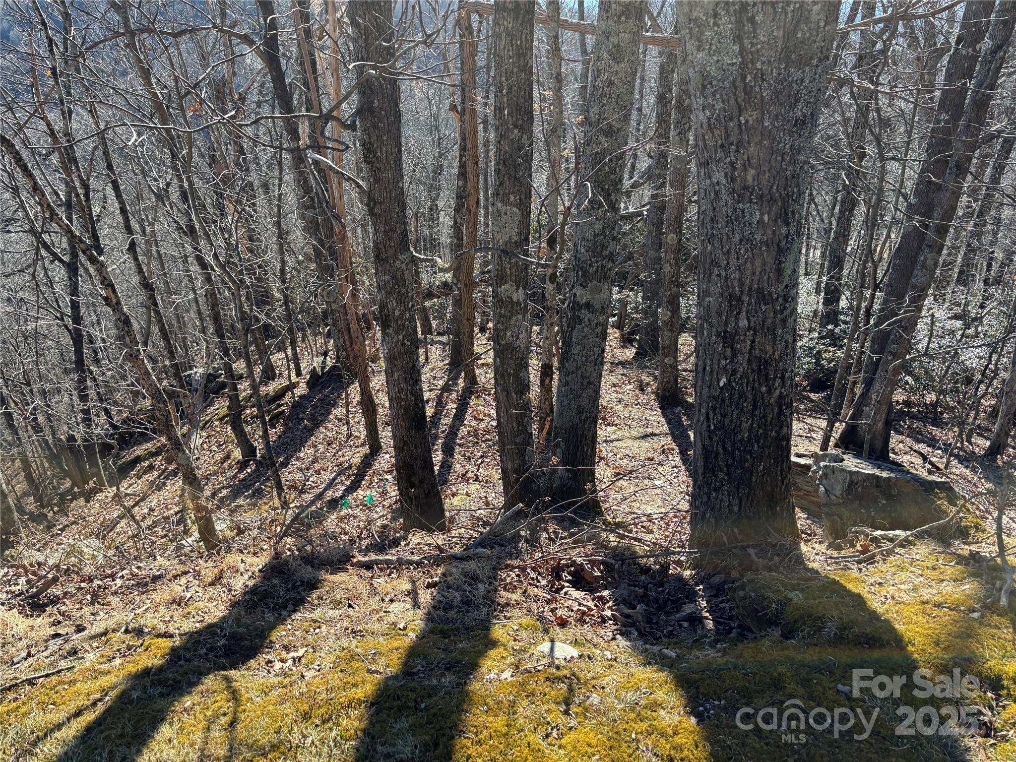 Tbd State View Road Property Photo 2
