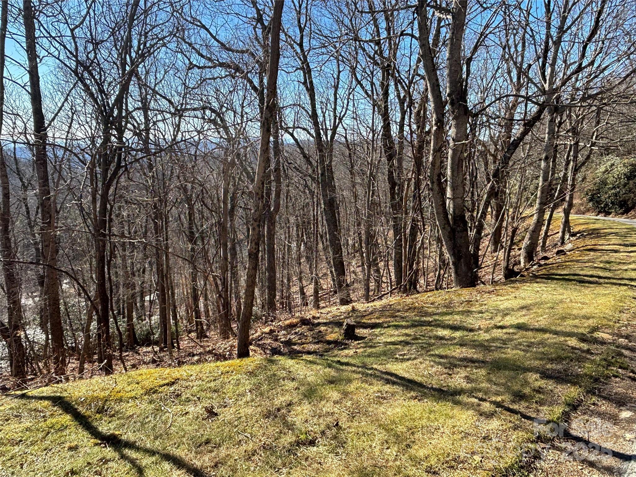 Tbd State View Road Property Photo 3