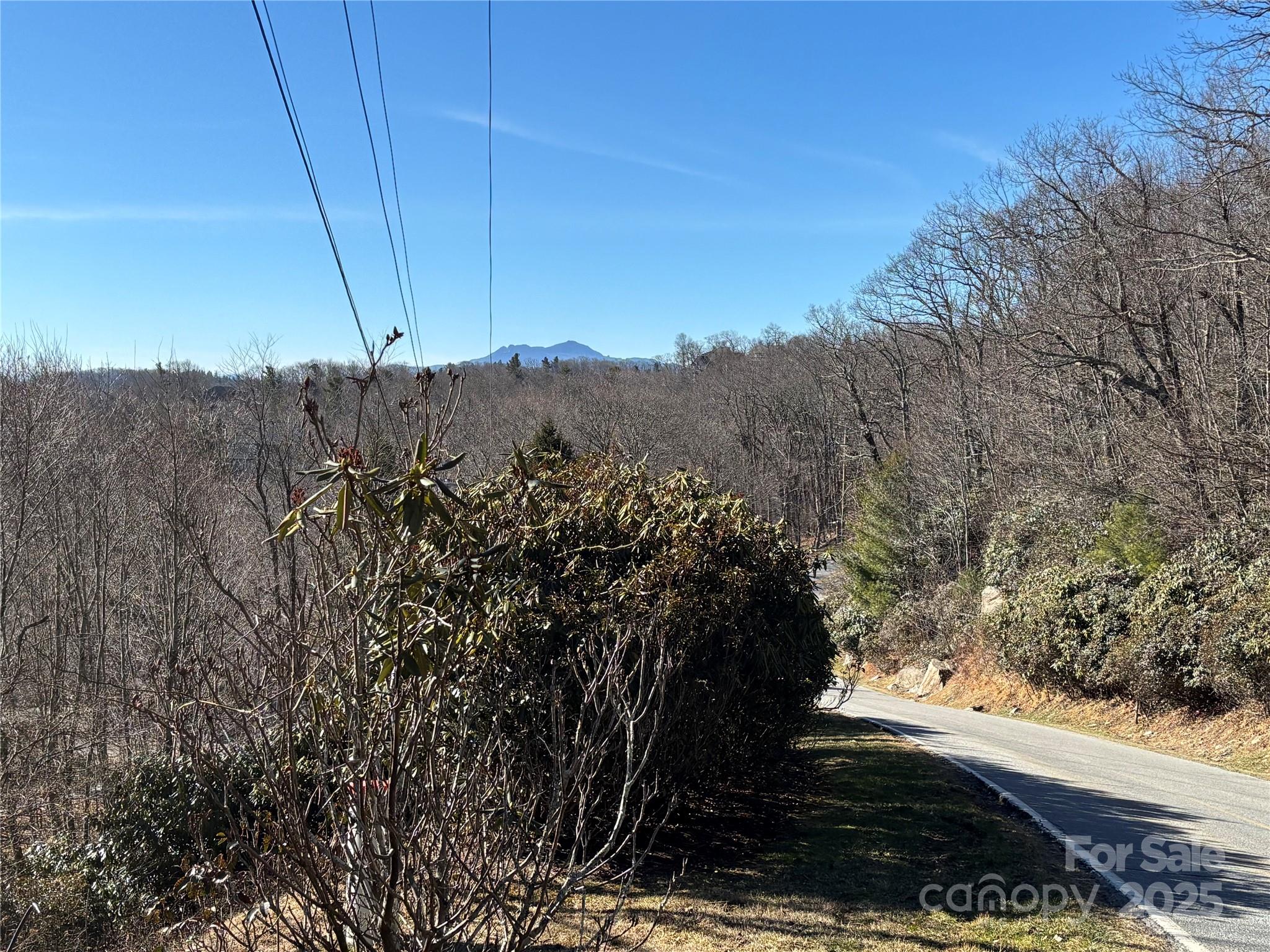 Tbd State View Road Property Photo 5