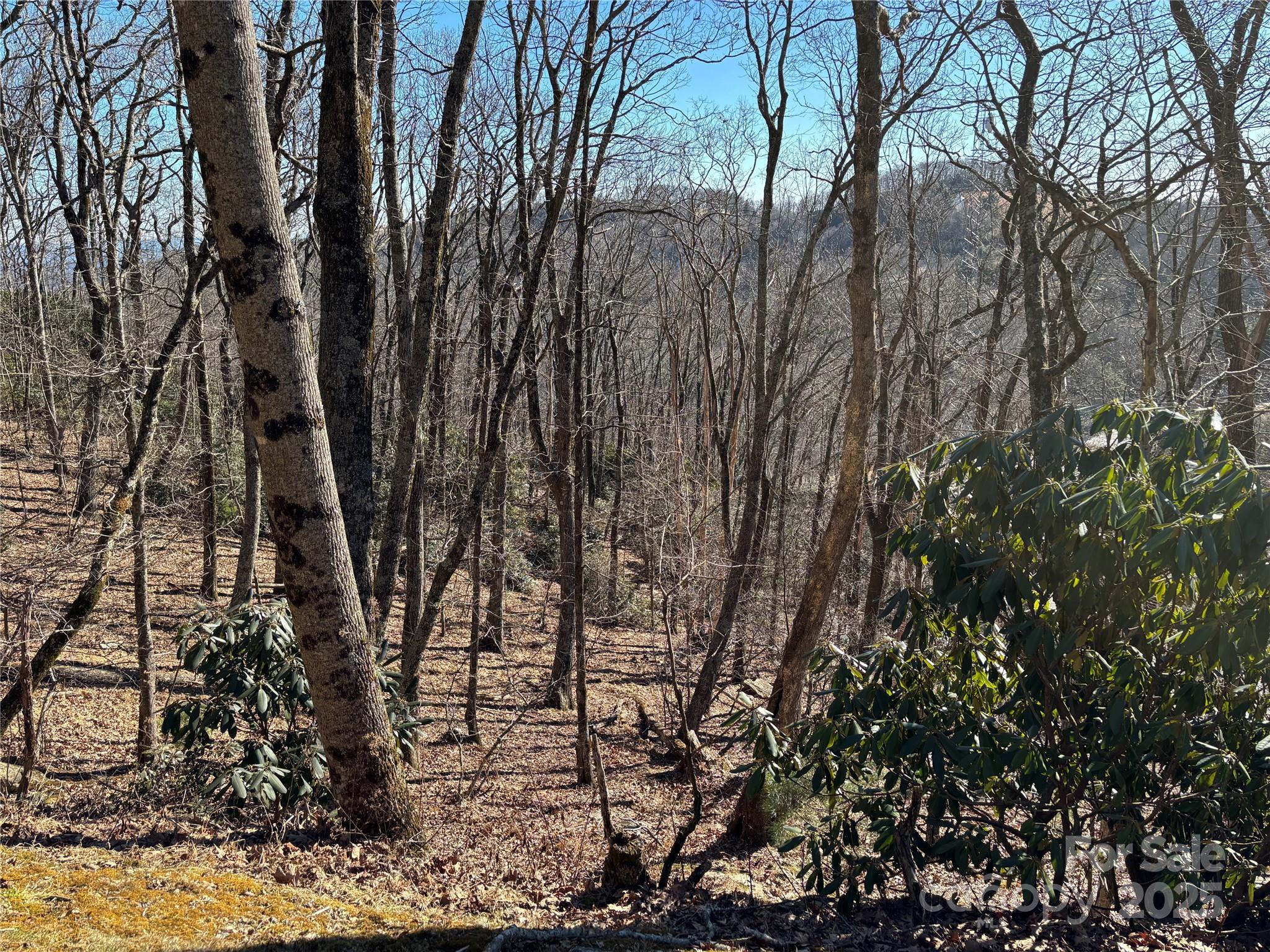 Tbd State View Road Property Photo 6