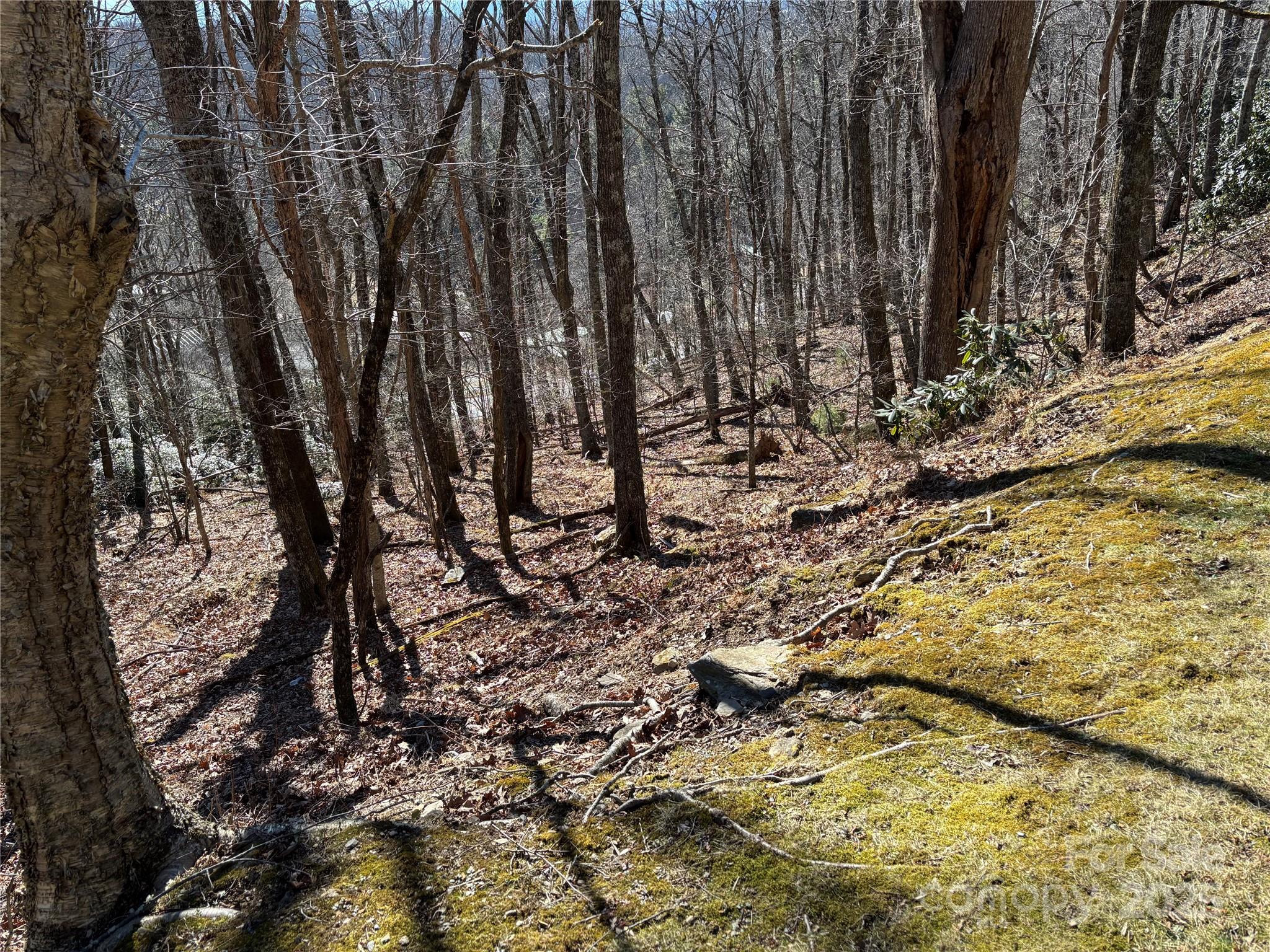 Tbd State View Road Property Photo 7