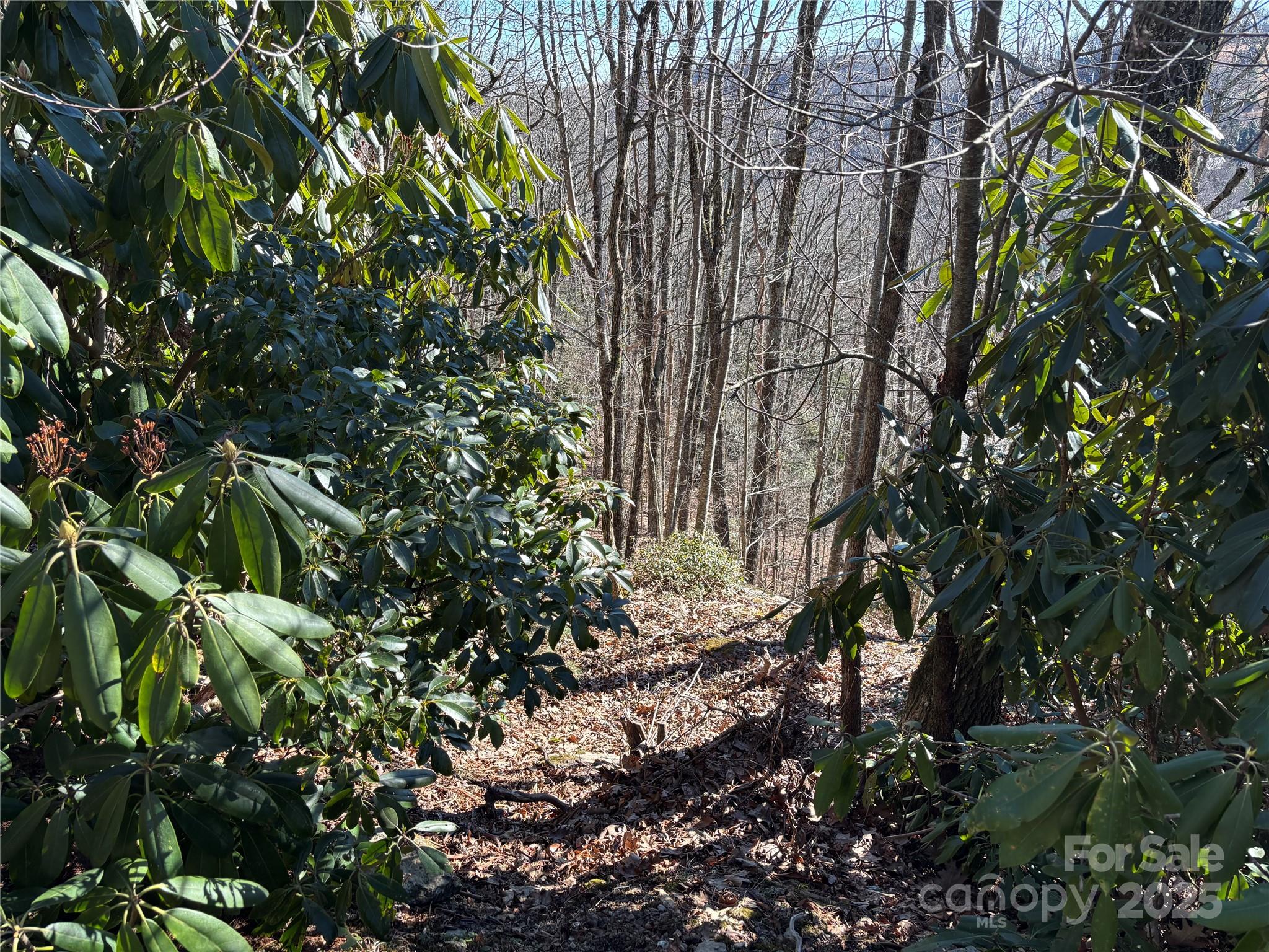 Tbd State View Road Property Photo 8