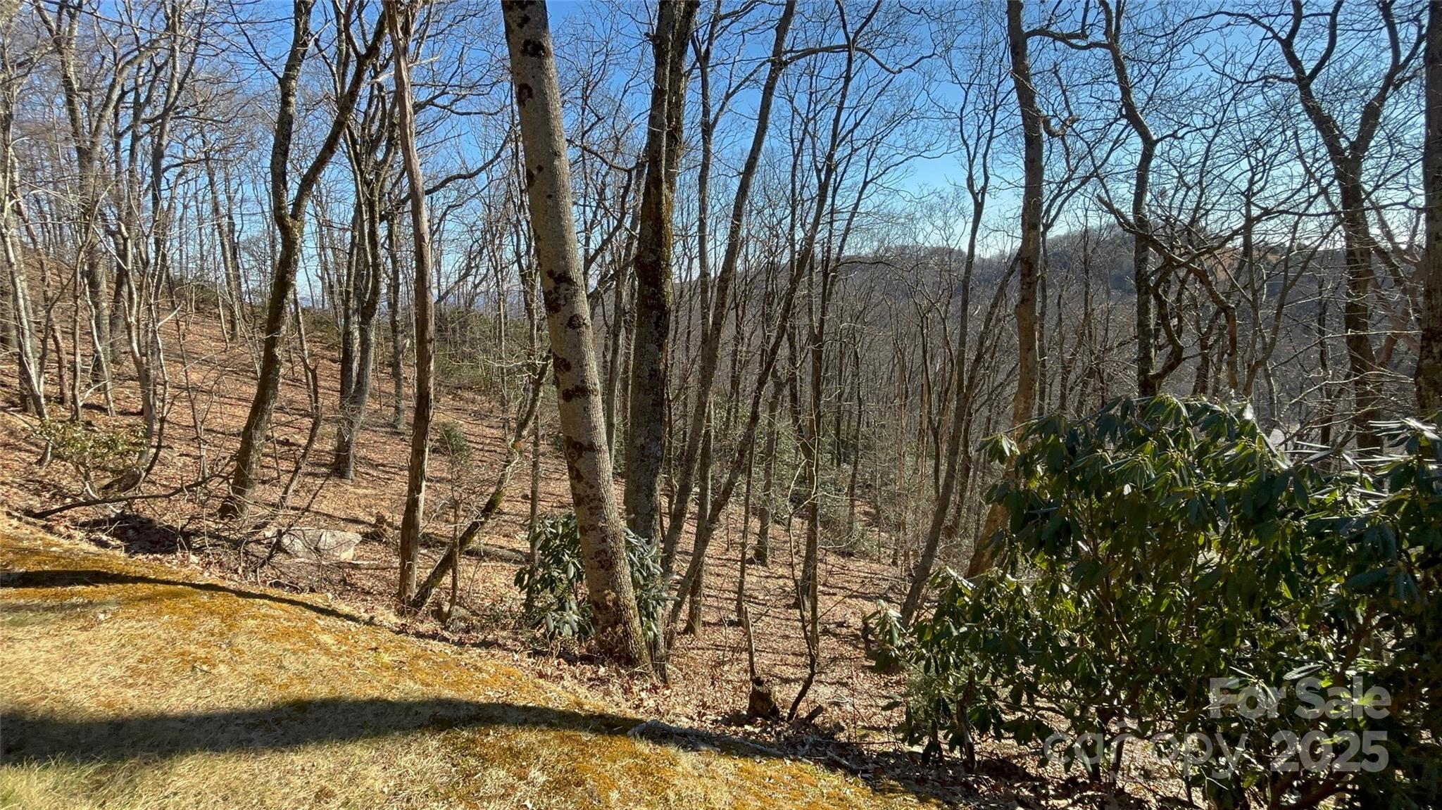 Tbd State View Road Property Photo 9