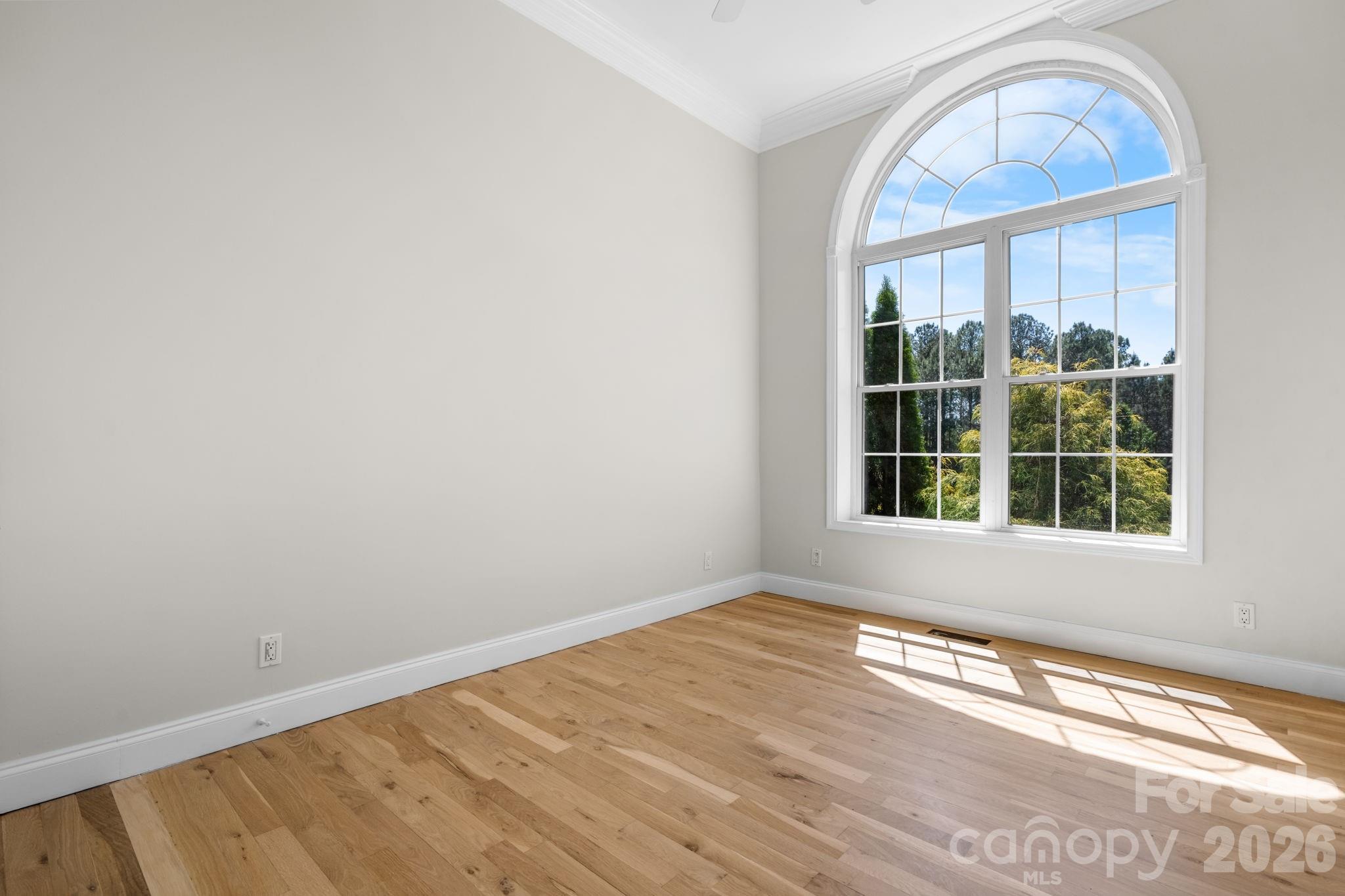 133 Greens Road Property Photo 36