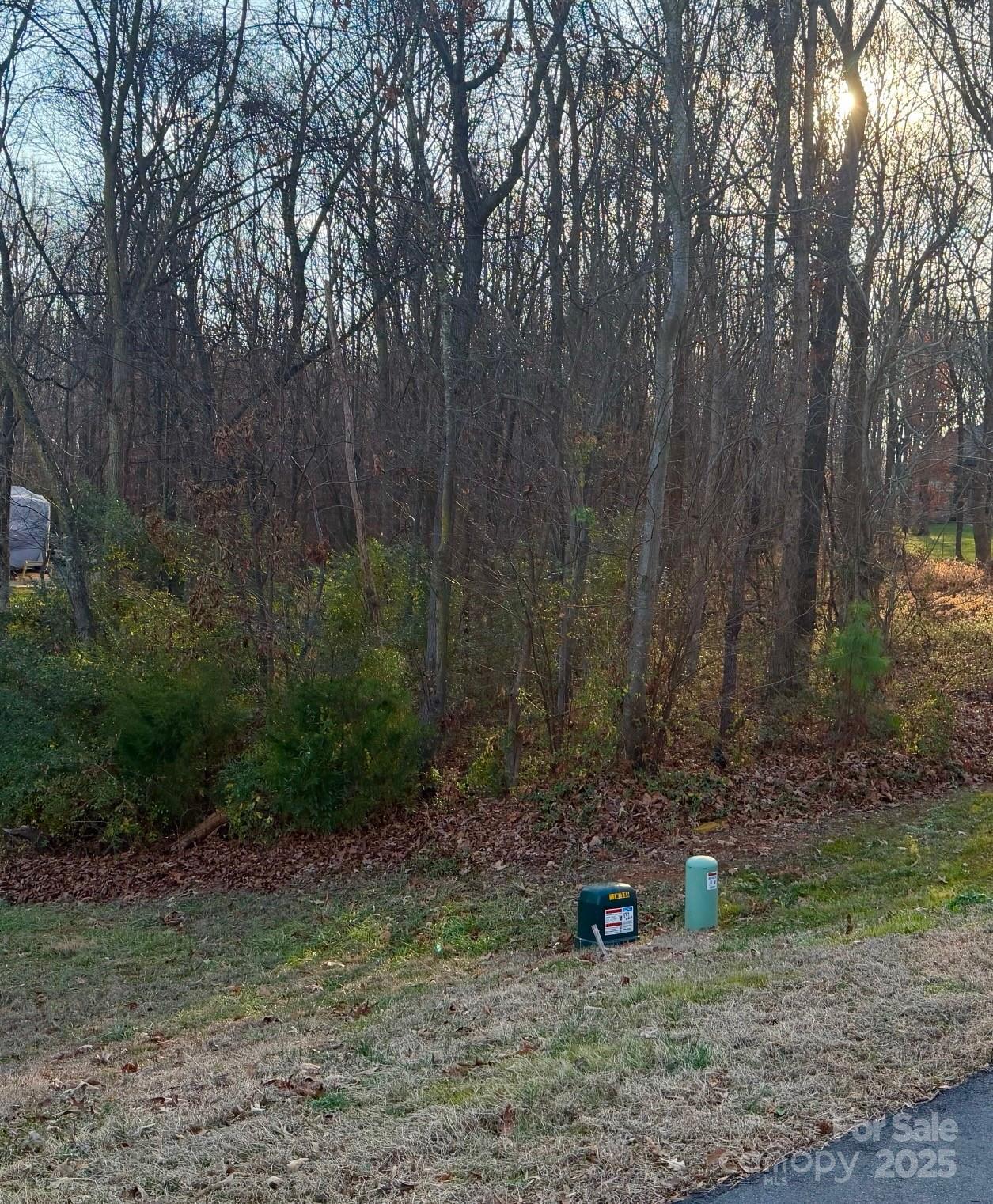 2010 Parrothead Drive Property Photo 1