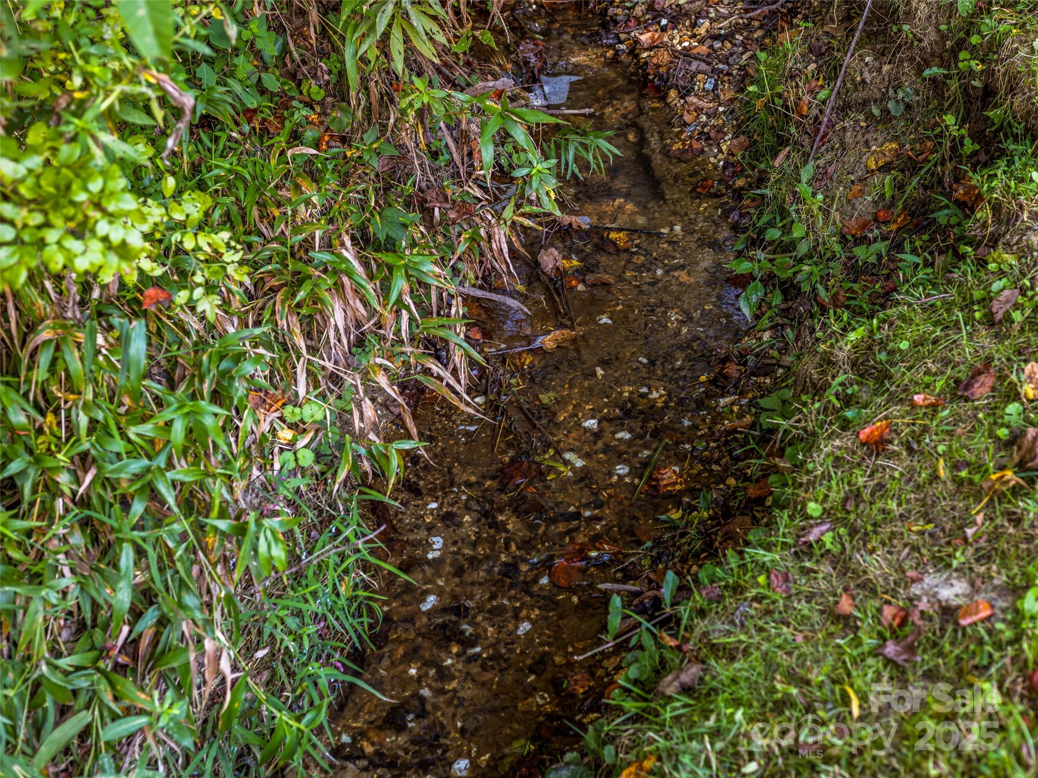 10 Warbler Drive Property Photo 47