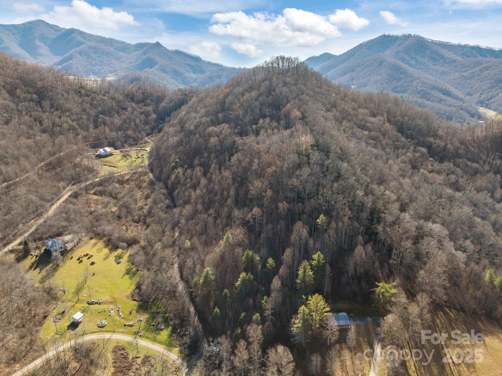 000 Wayward Cove Property Photo 3