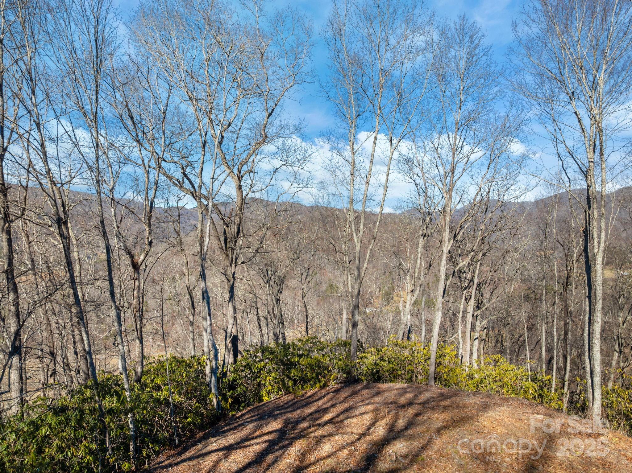 000 Wayward Cove Property Photo 14