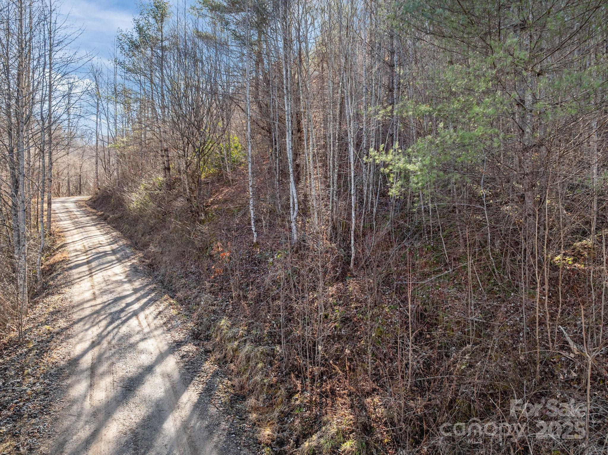 000 Wayward Cove Property Photo 15
