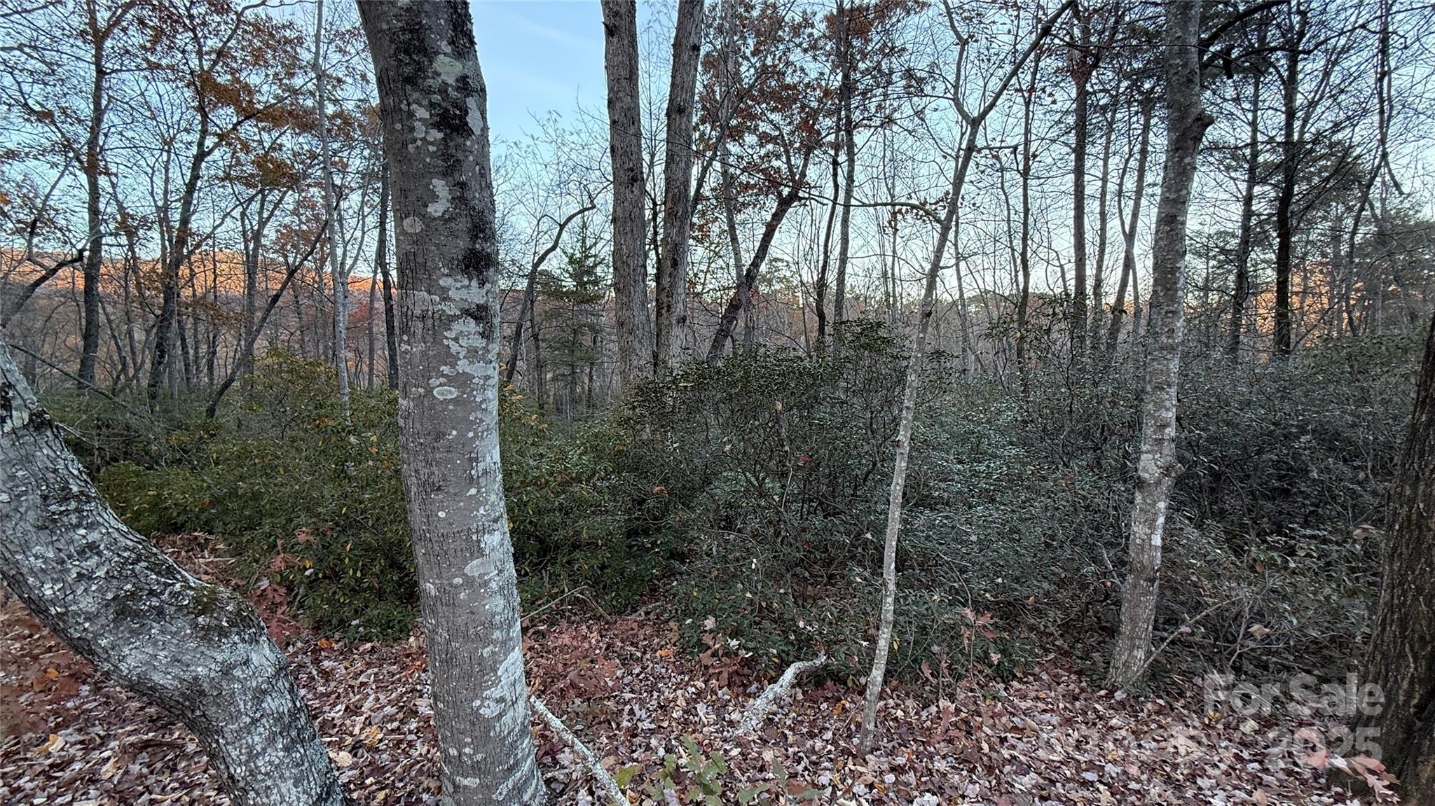 0 Quail Ridge Road Property Photo 11