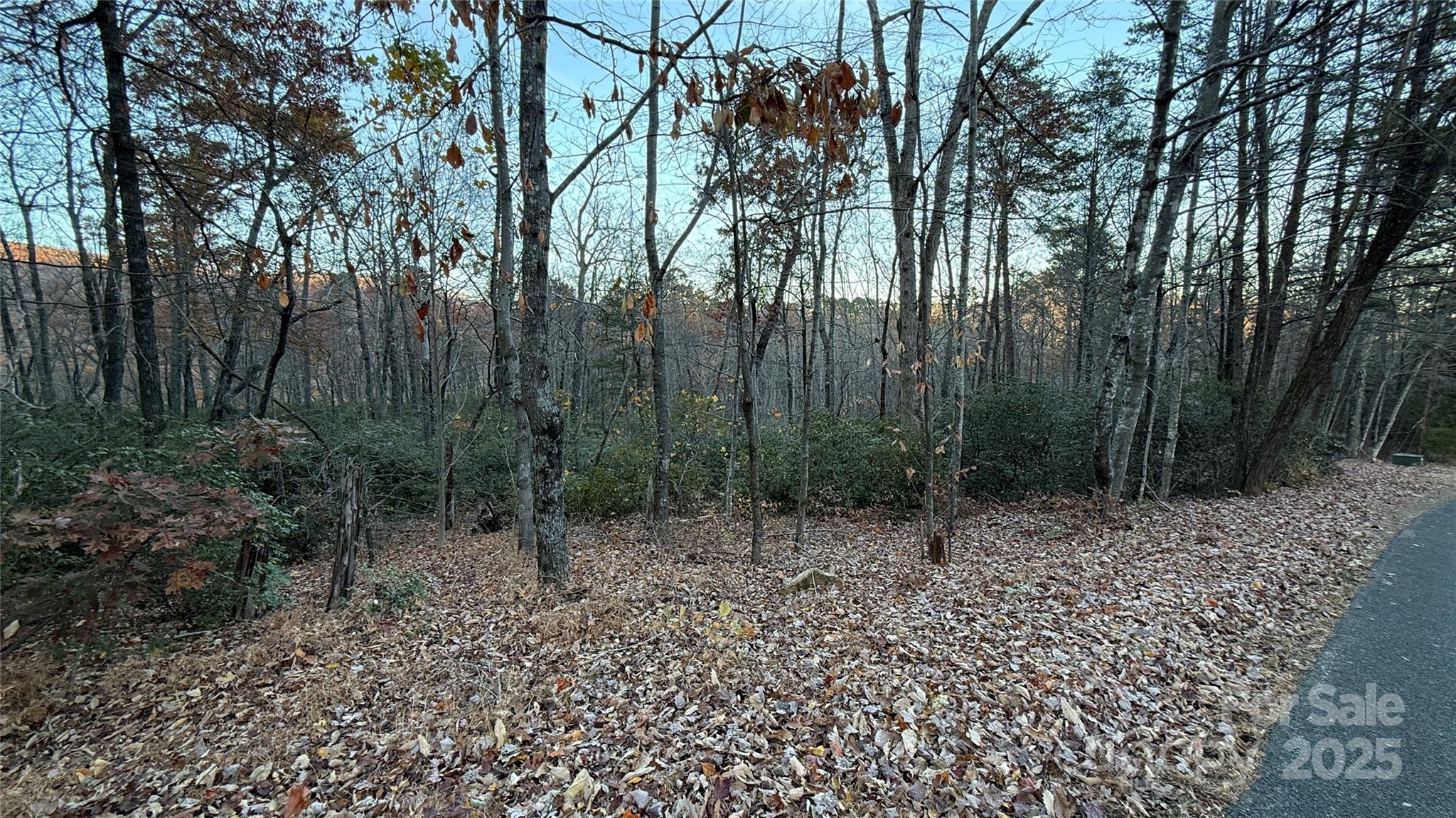 0 Quail Ridge Road Property Photo 12