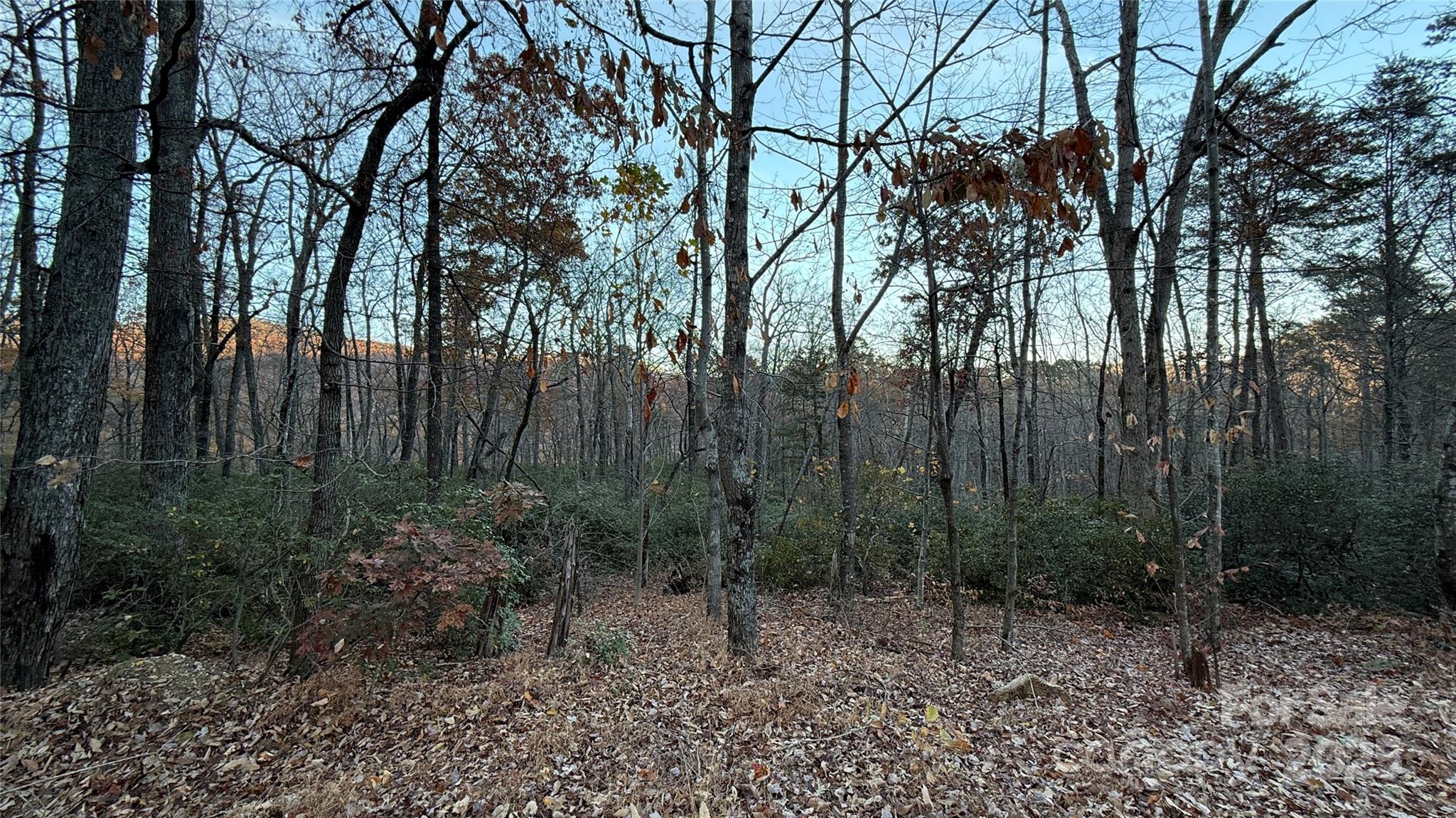 0 Quail Ridge Road Property Photo 13