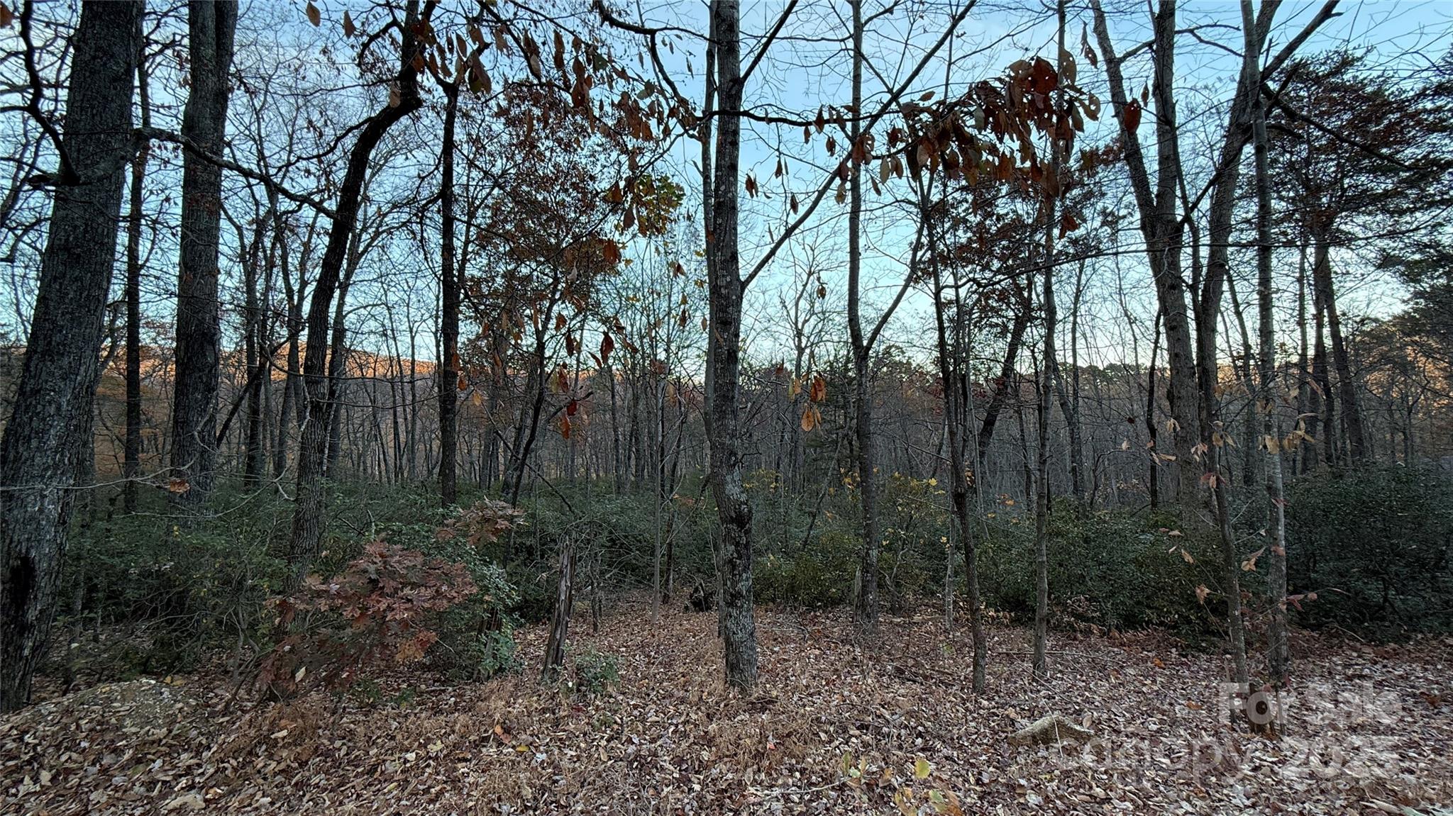 0 Quail Ridge Road Property Photo 14