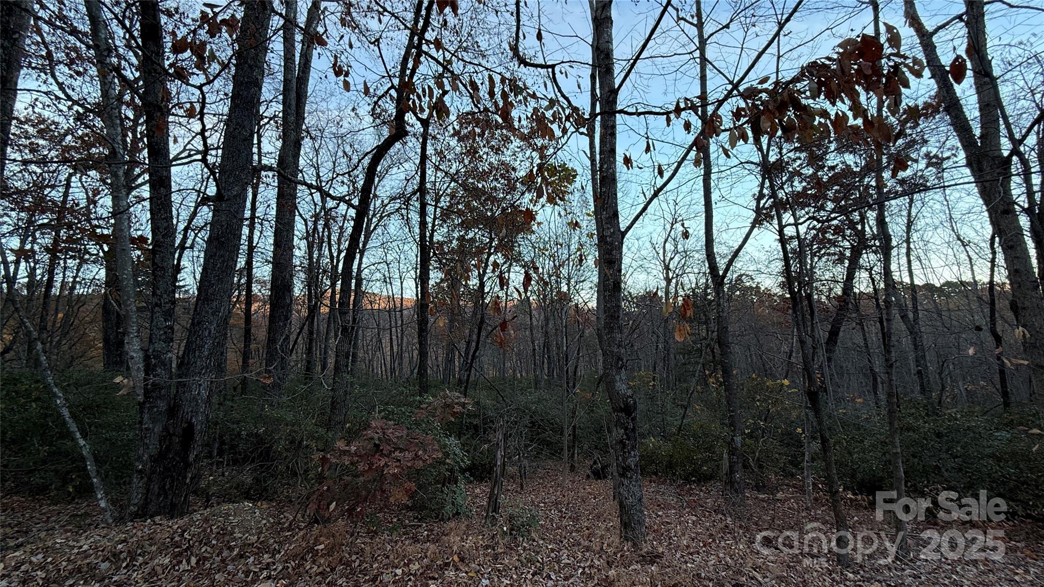 0 Quail Ridge Road Property Photo 15