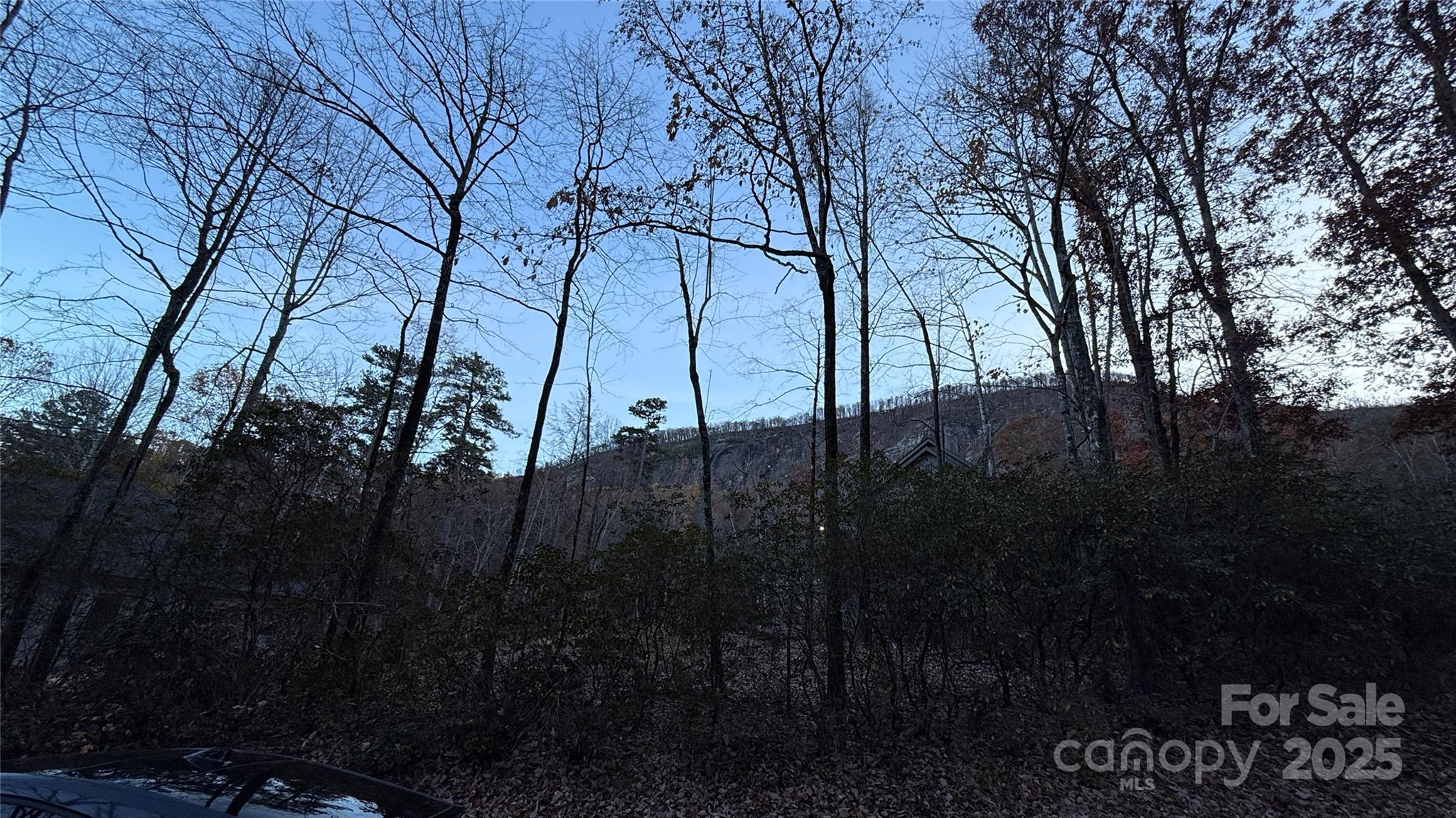 0 Quail Ridge Road Property Photo 16