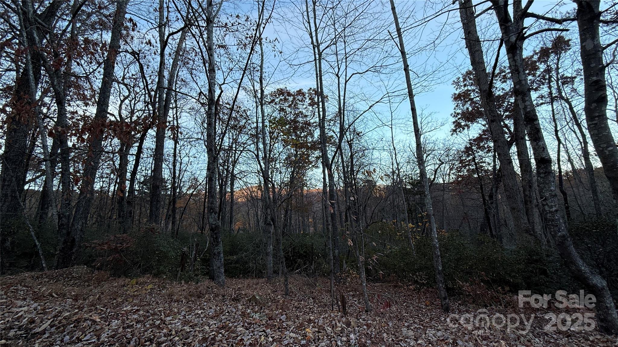 0 Quail Ridge Road Property Photo 21