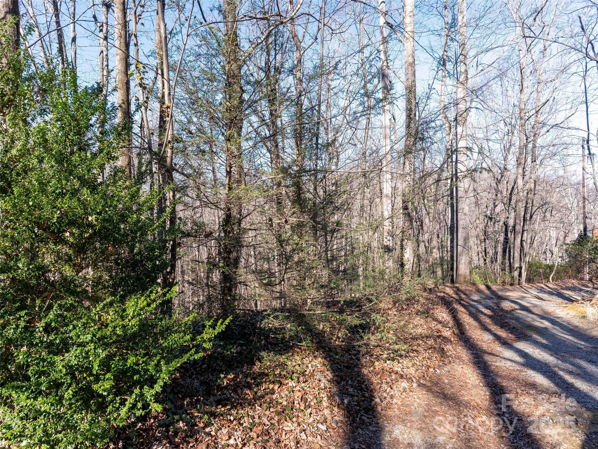 00 Mountain Page Road 17,18,19 Property Photo 1
