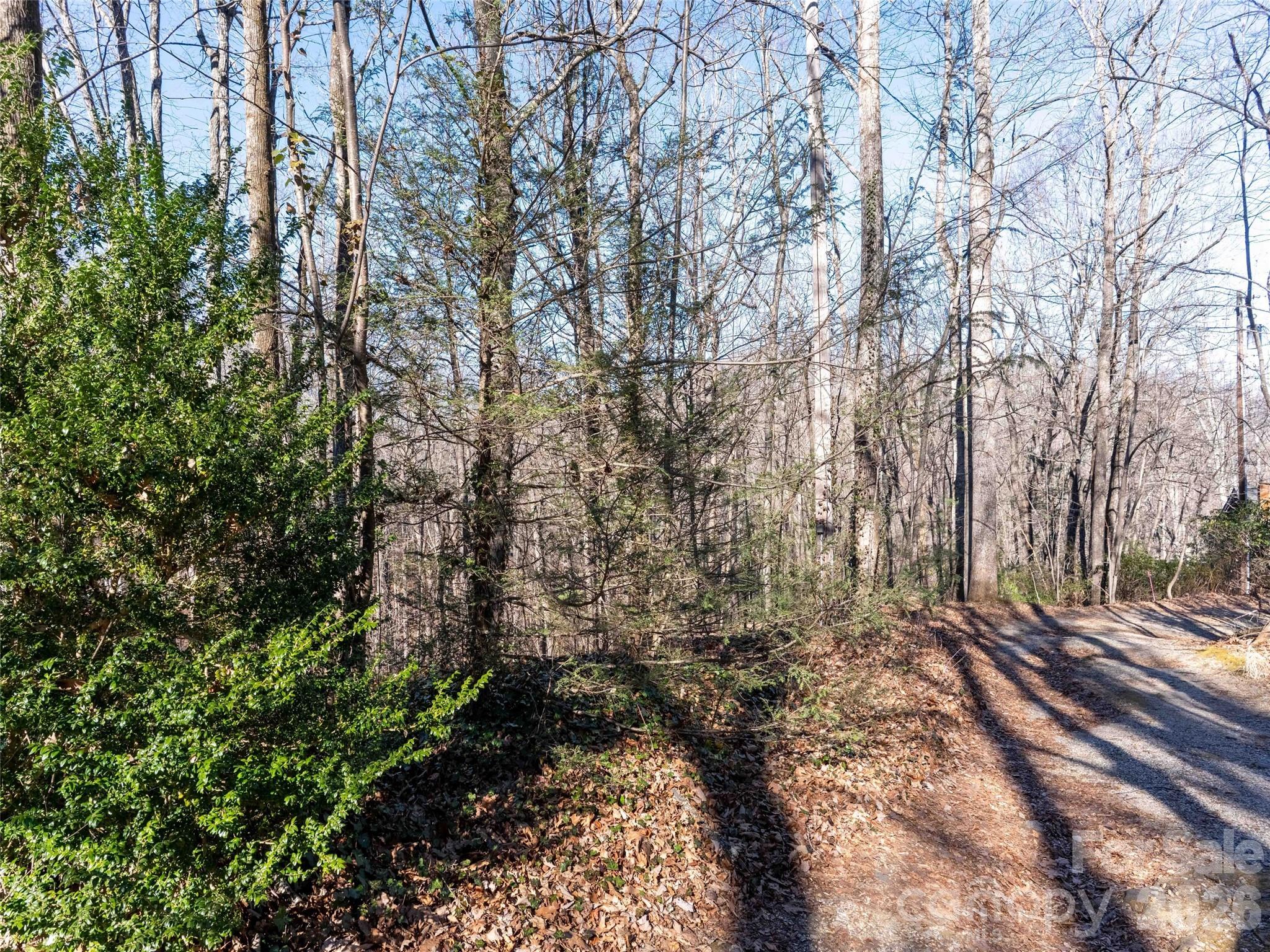 00 Mountain Page Road 17,18,19 Property Photo 1