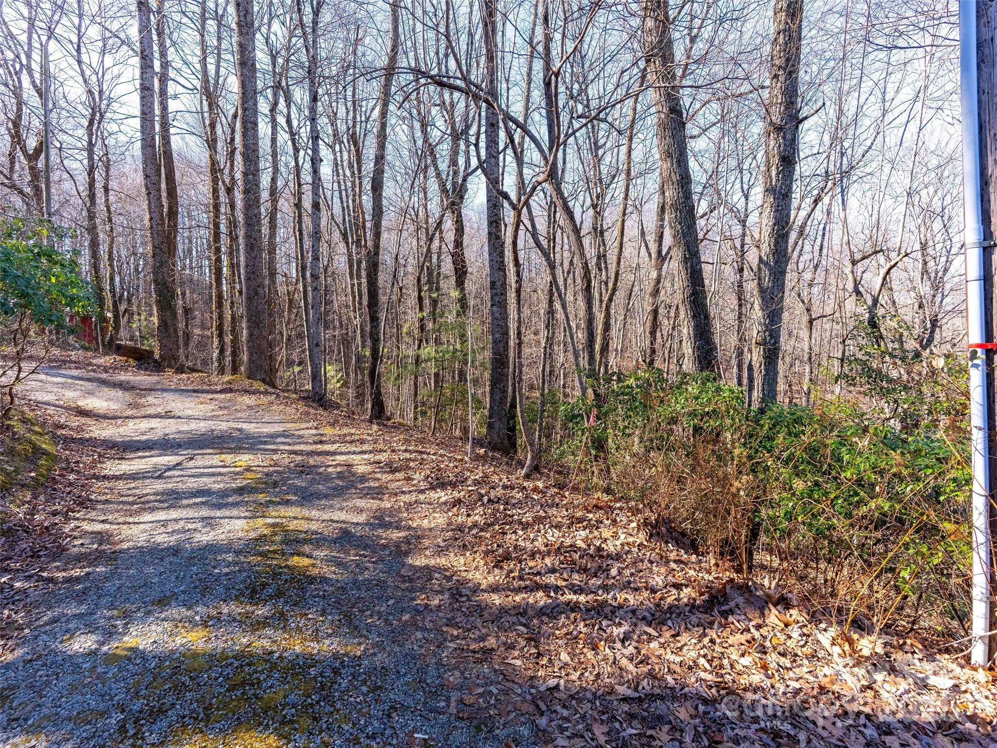 00 Mountain Page Road 17,18,19 Property Photo 2