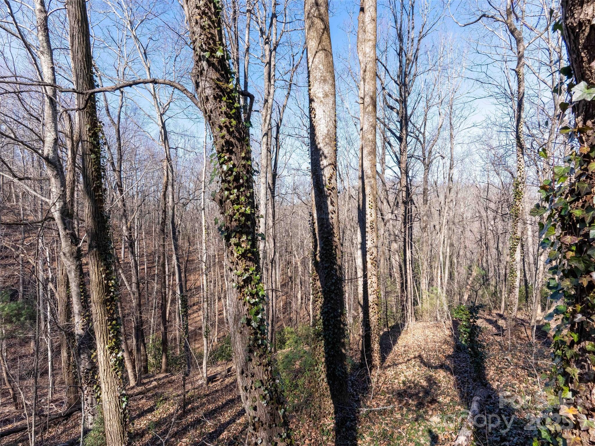 00 Mountain Page Road 17,18,19 Property Photo 10