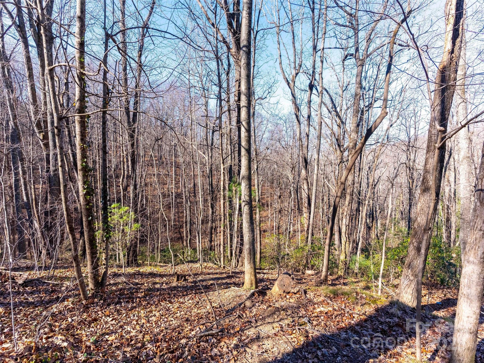 00 Mountain Page Road 17,18,19 Property Photo 11