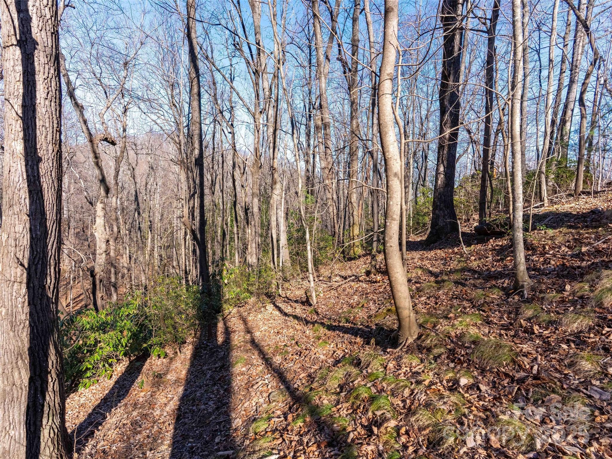 00 Mountain Page Road 17,18,19 Property Photo 12