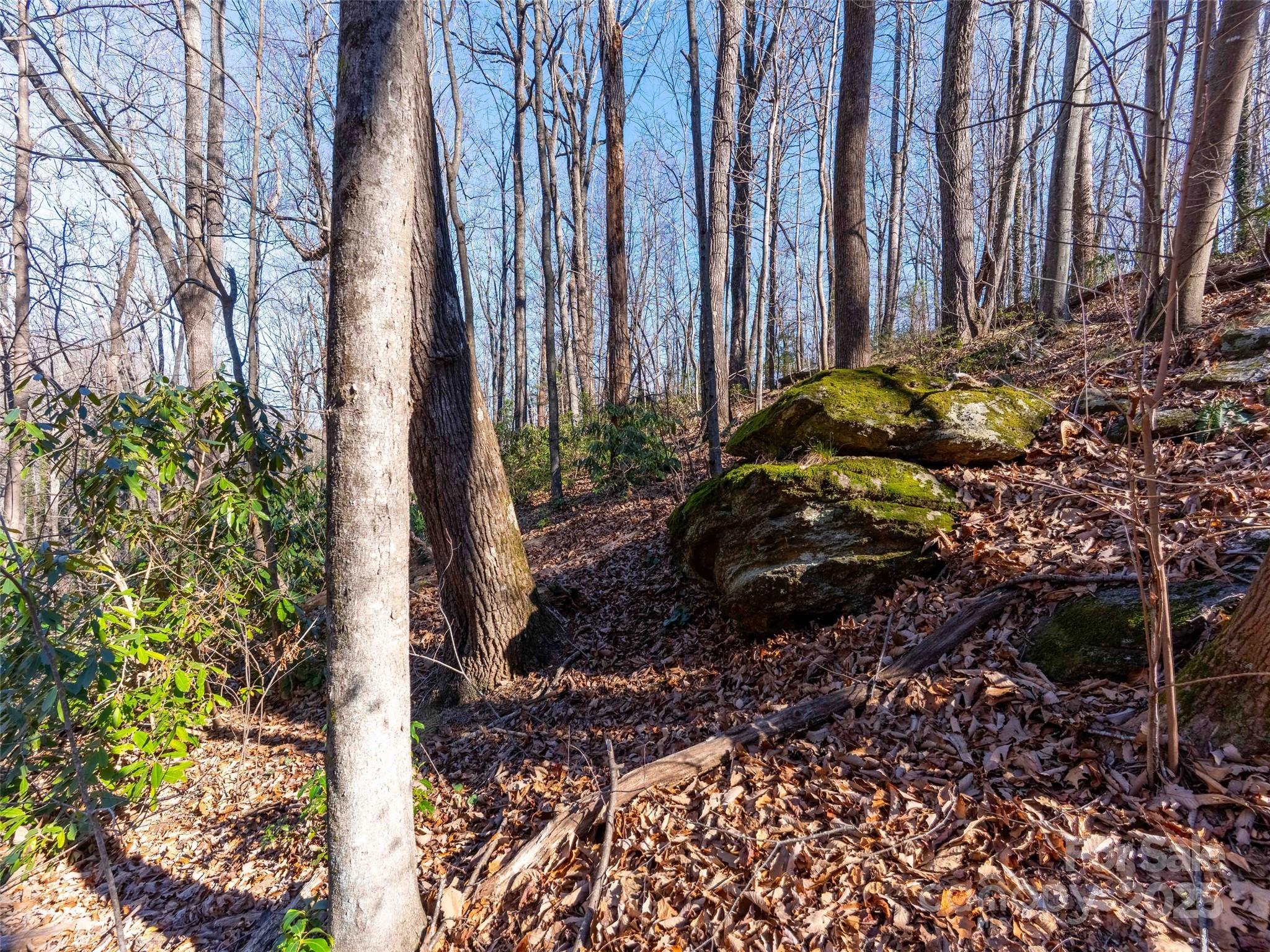 00 Mountain Page Road 17,18,19 Property Photo 13