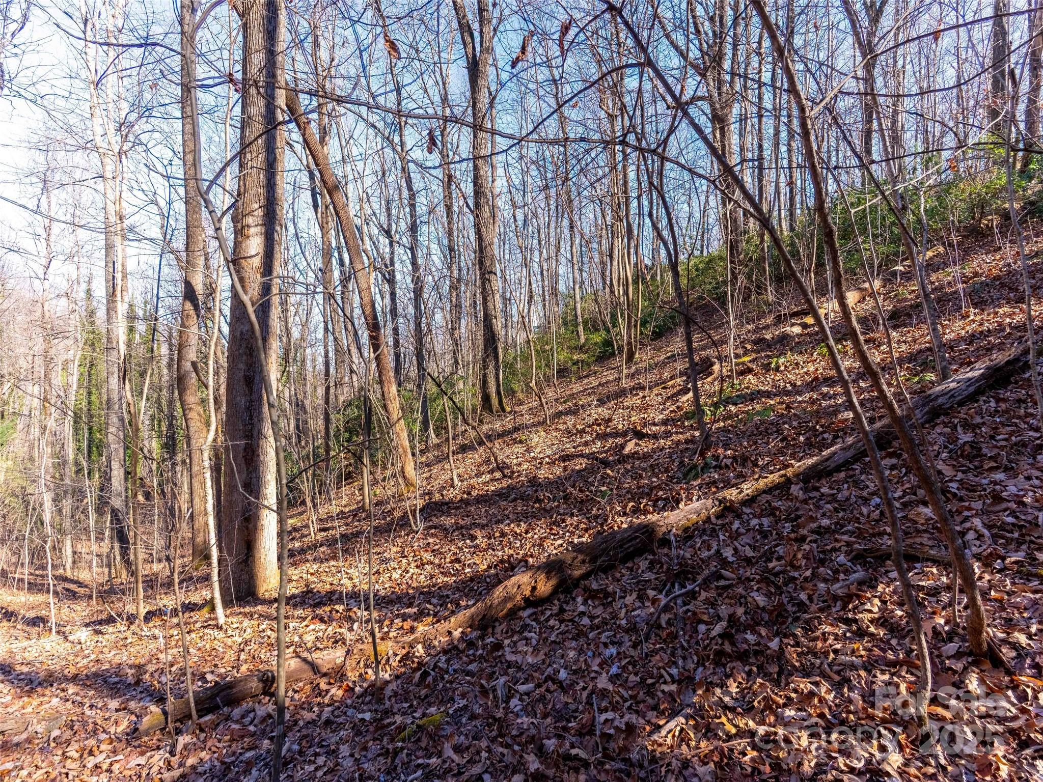 00 Mountain Page Road 17,18,19 Property Photo 14