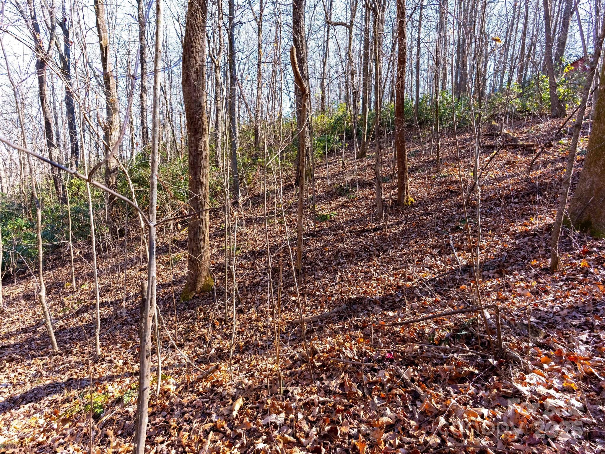 00 Mountain Page Road 17,18,19 Property Photo 15