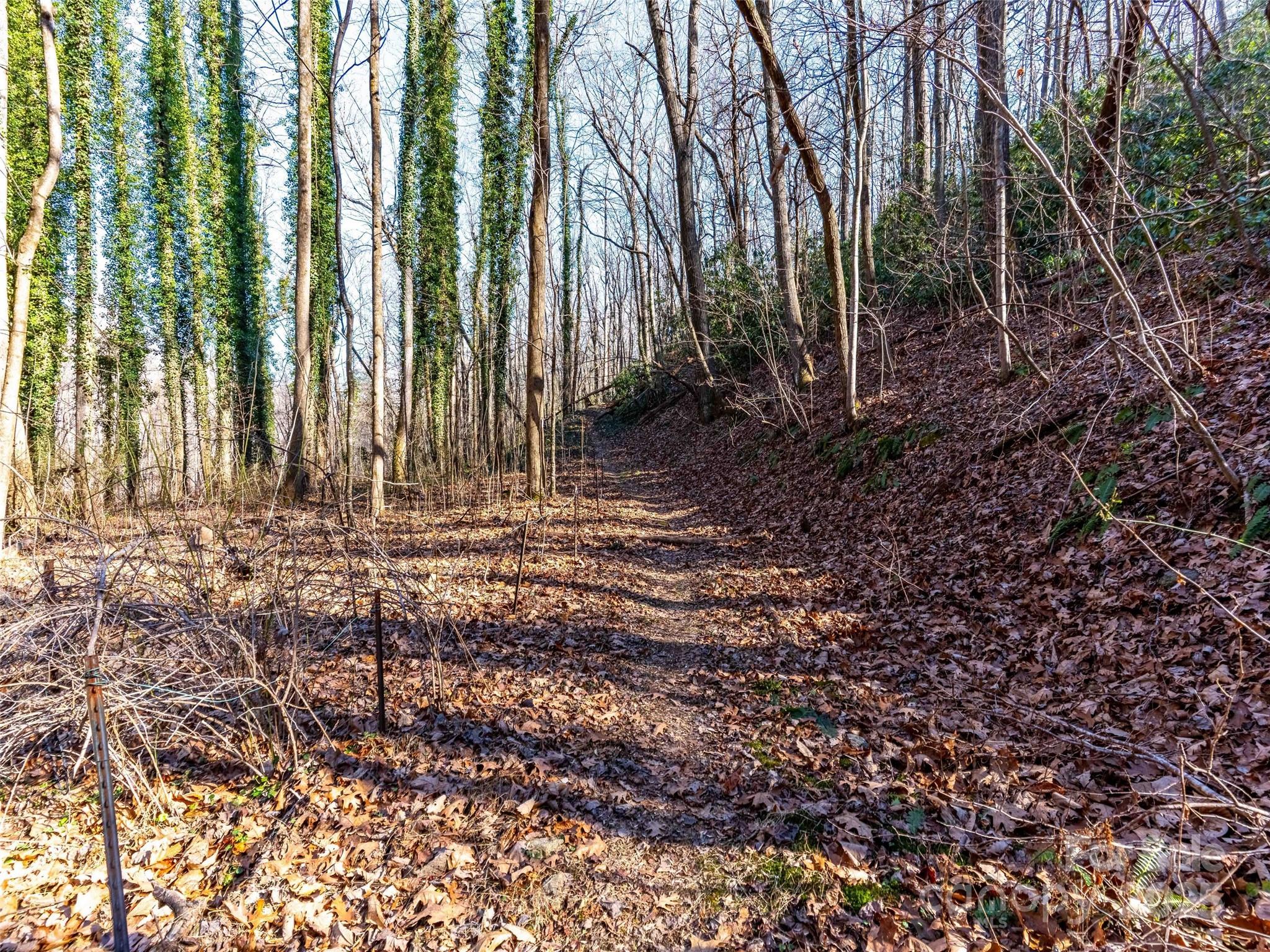 00 Mountain Page Road 17,18,19 Property Photo 16