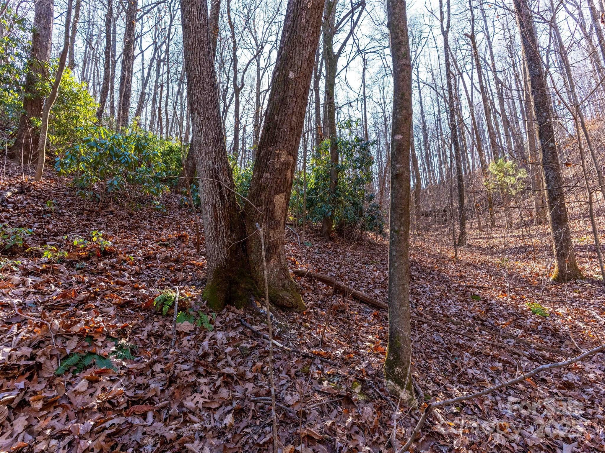 00 Mountain Page Road 17,18,19 Property Photo 17