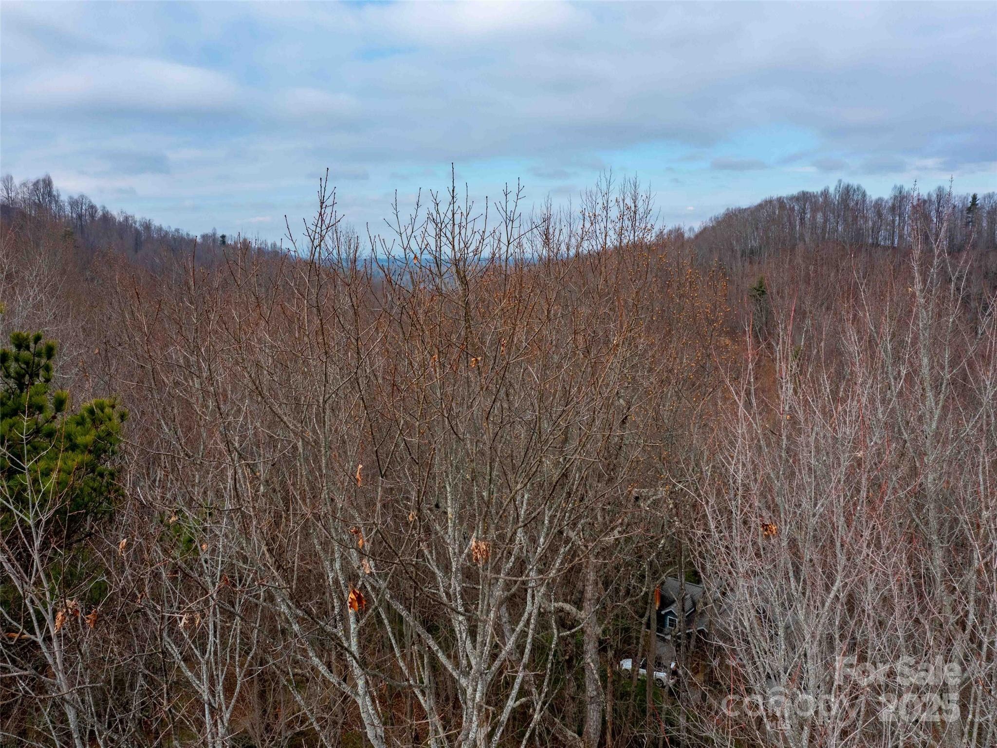 00 Mountain Page Road 17,18,19 Property Photo 27