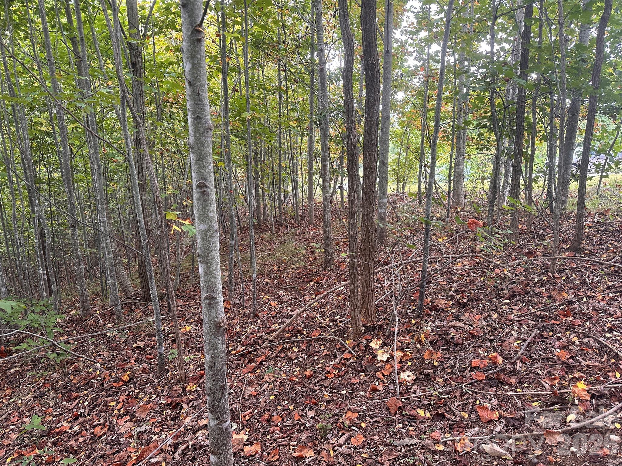 311 Scenic Vista Drive 254 Property Photo 1